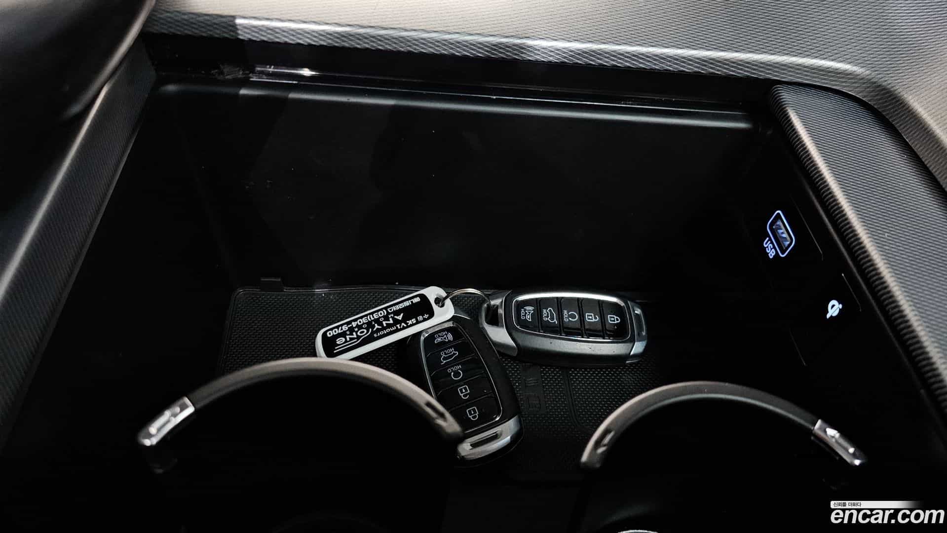 Palisade Hyundai 2019.6-OPTION-020