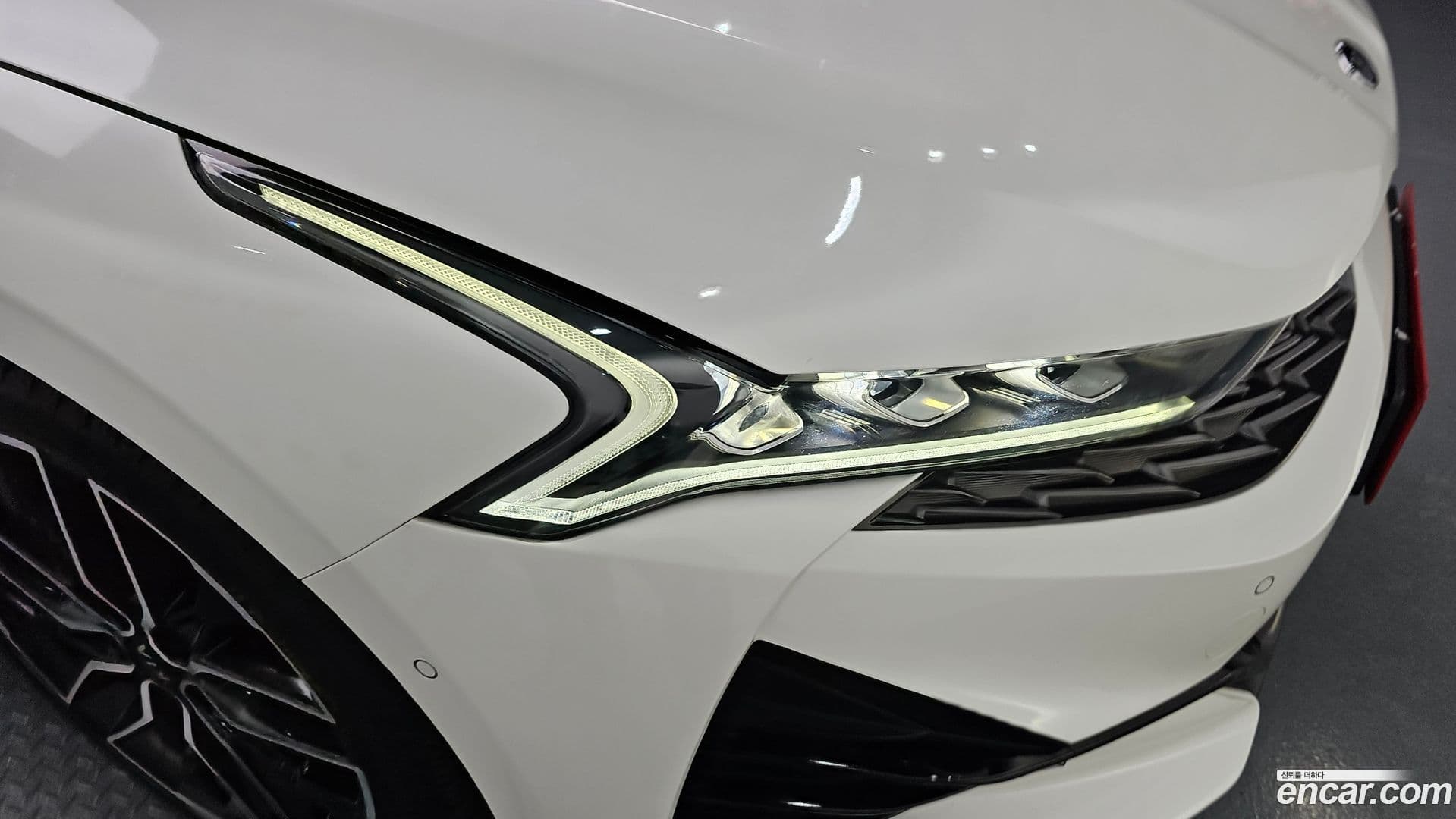 Main__Slider__Photo:K5 Kia 2020.7-21