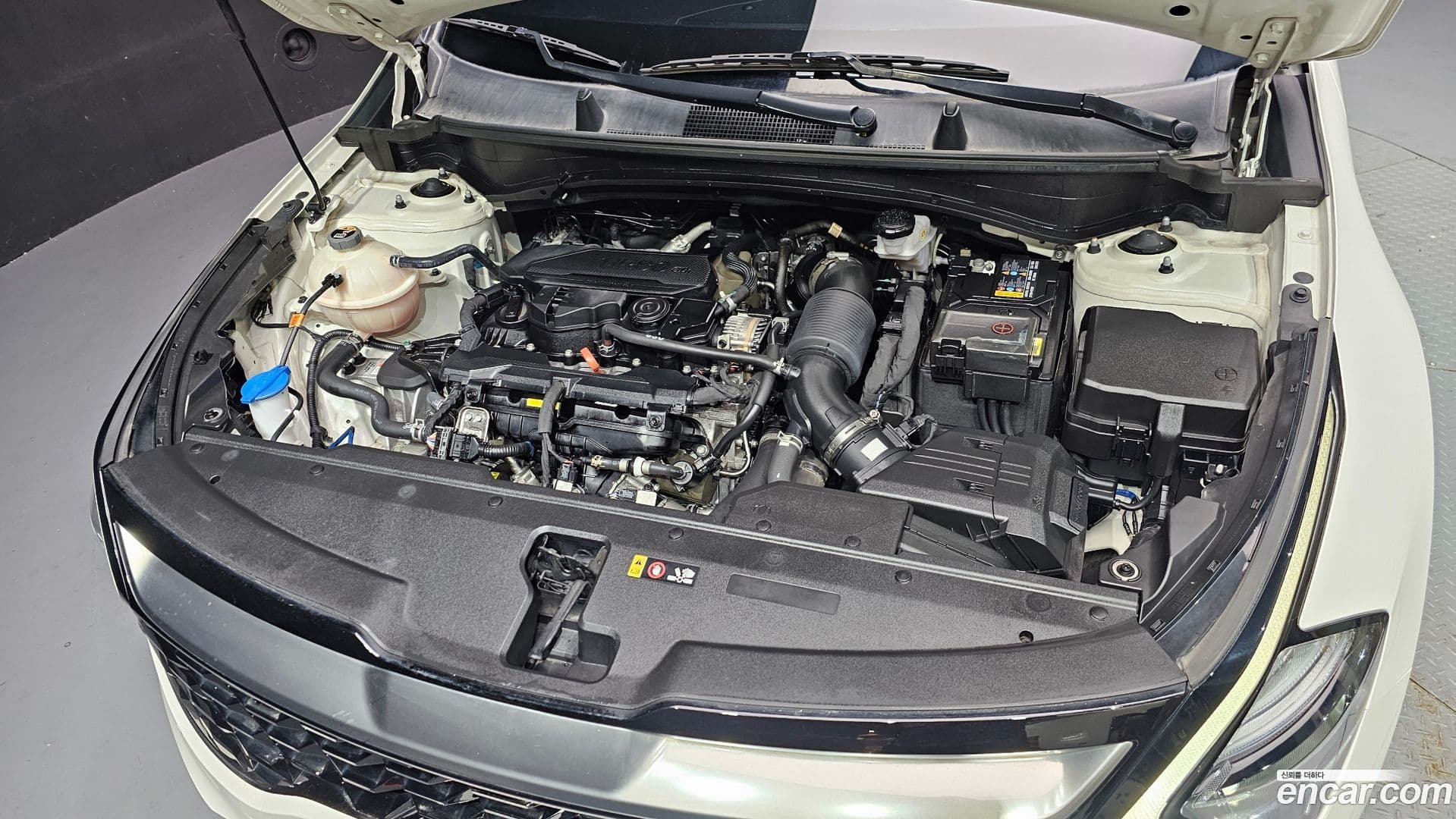 Main__Slider__Photo:Sportage Kia 2023.1-5