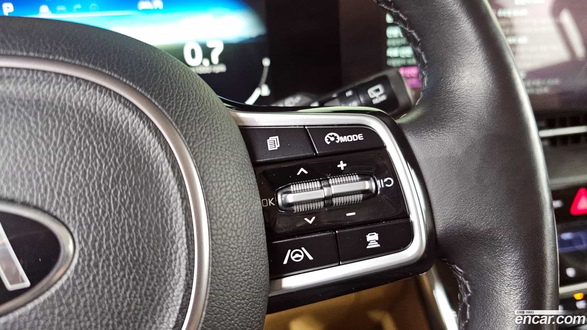 Canival Kia 2020.10-OPTION-047
