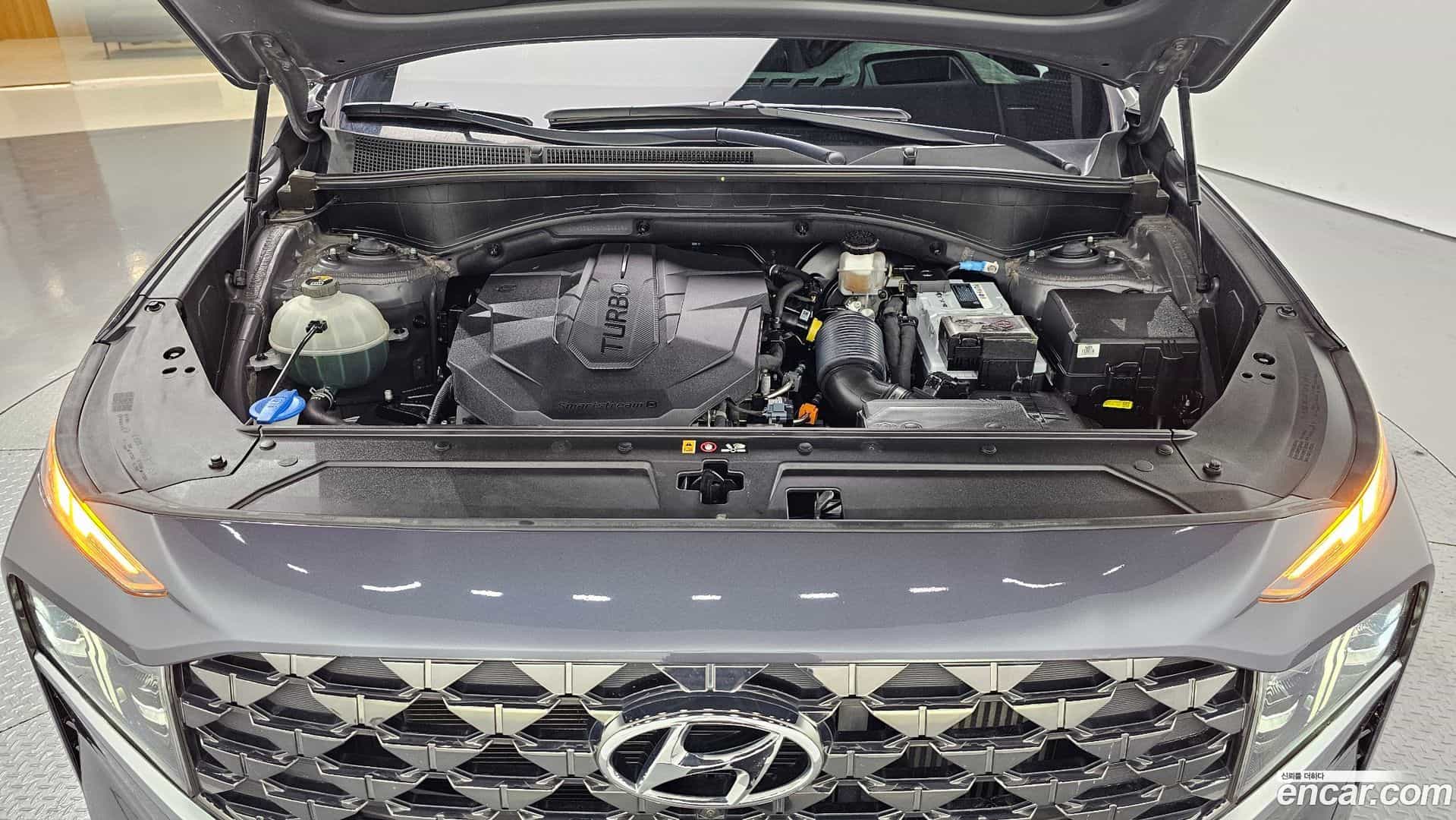 Santafe Hyundai 2021.1-OUTER-006