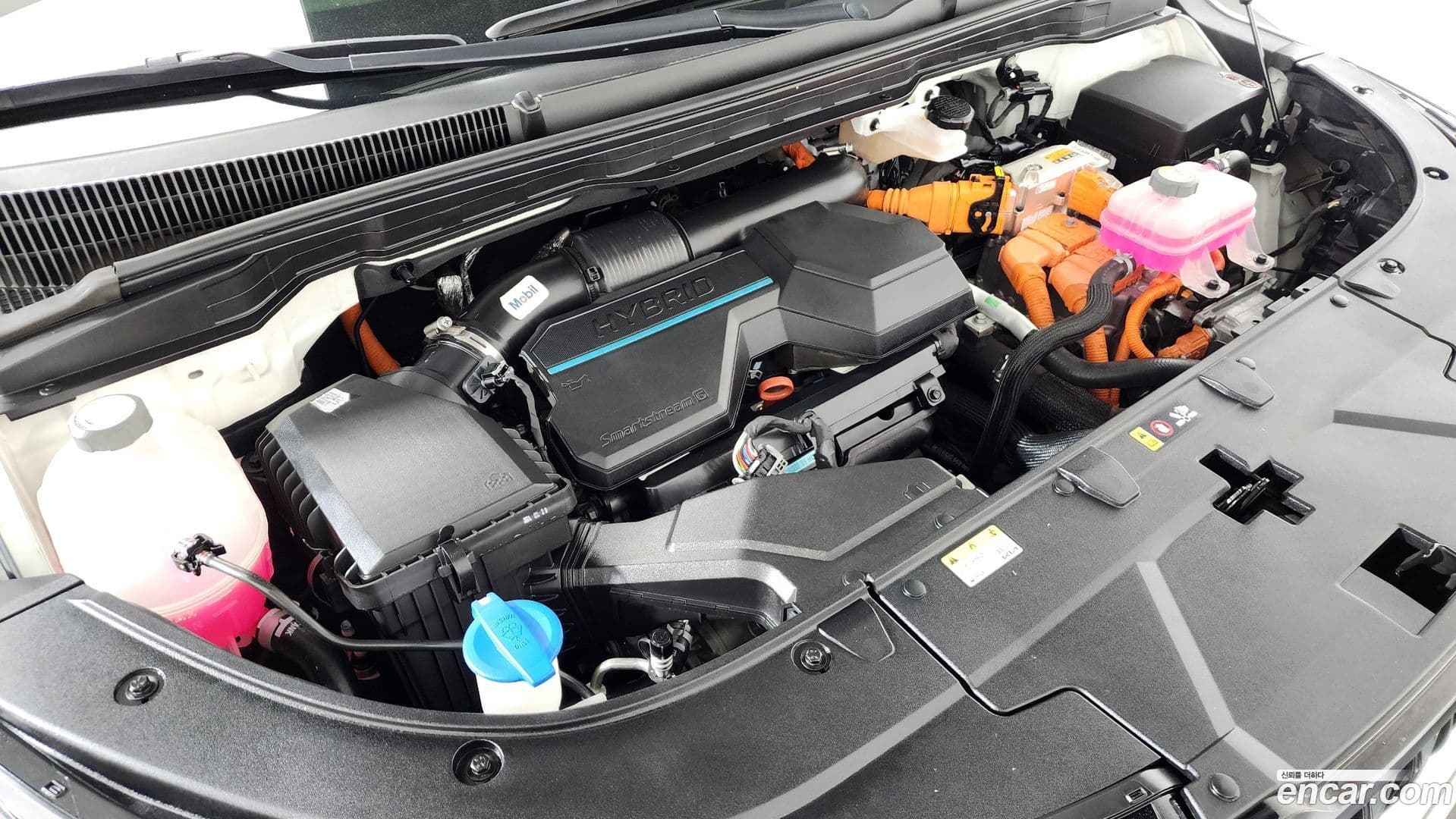 Main__Slider__Photo:Canival Kia 2024.2-5