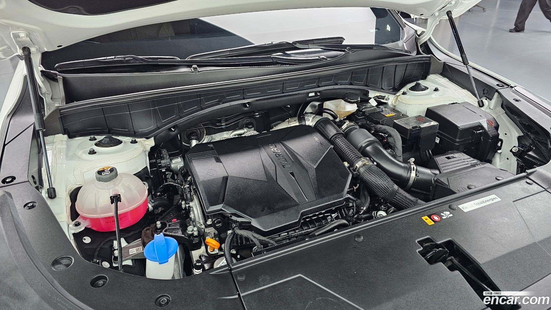 Main__Slider__Photo:Sorento Kia 2024.9-5
