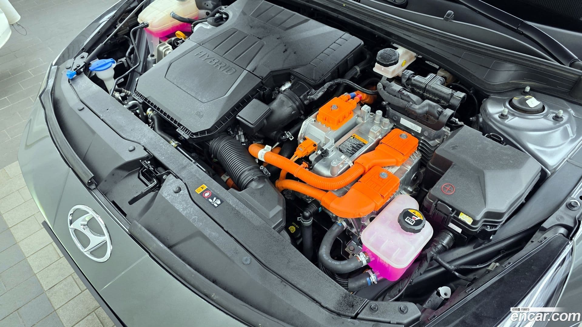 Main__Slider__Photo:AVANTE Hyundai 2022.0-5