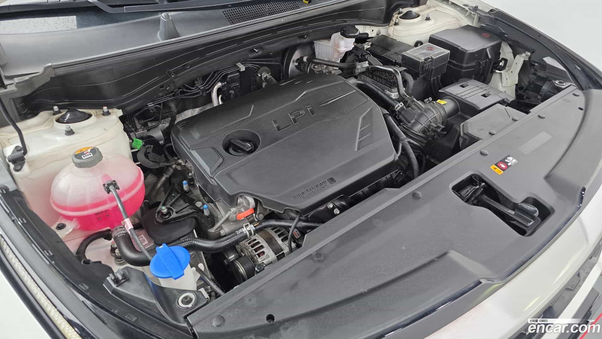 Sportage Kia 2024.3-OUTER-006