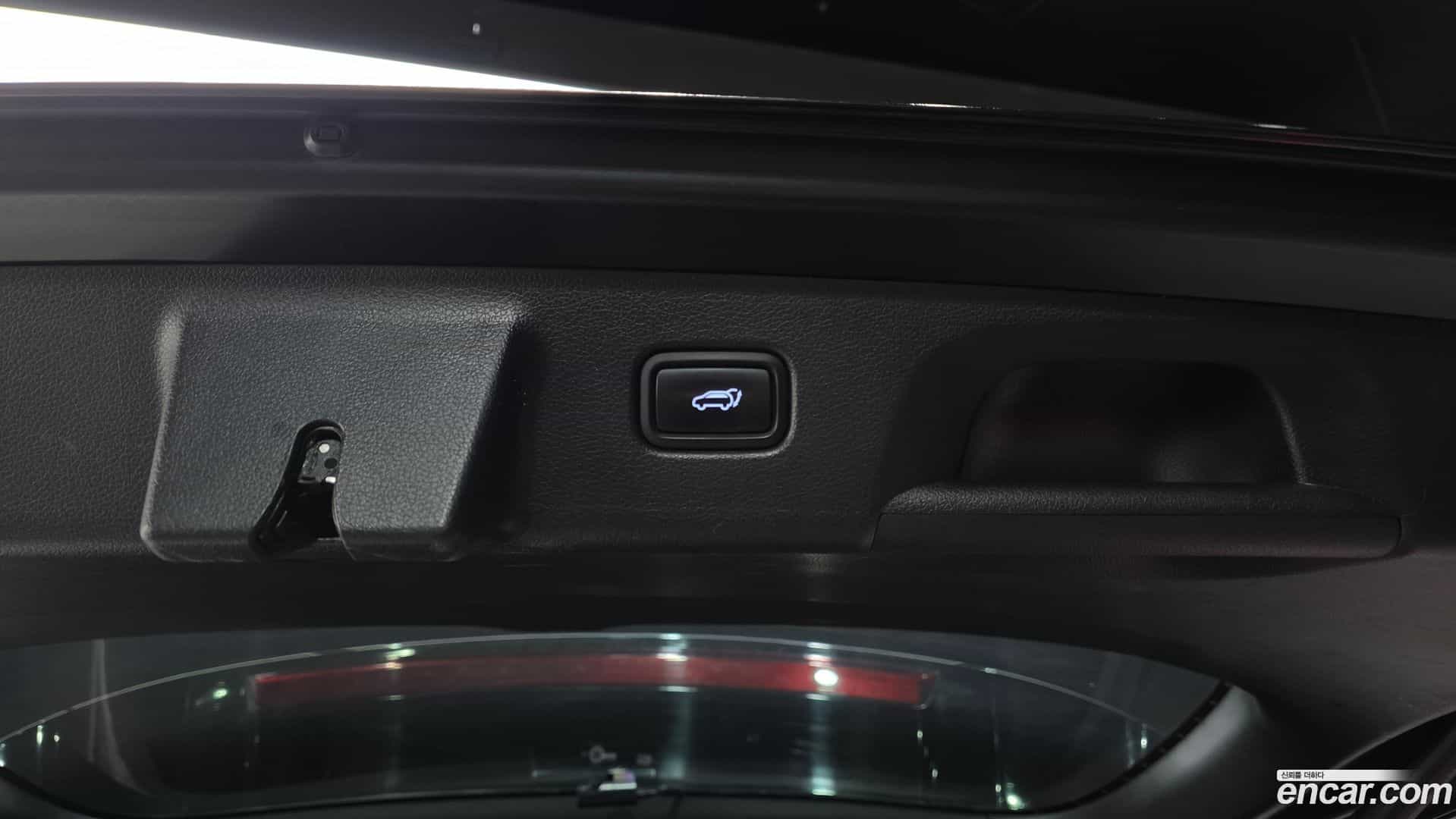 Palisade Hyundai 2020.6-OPTION-024