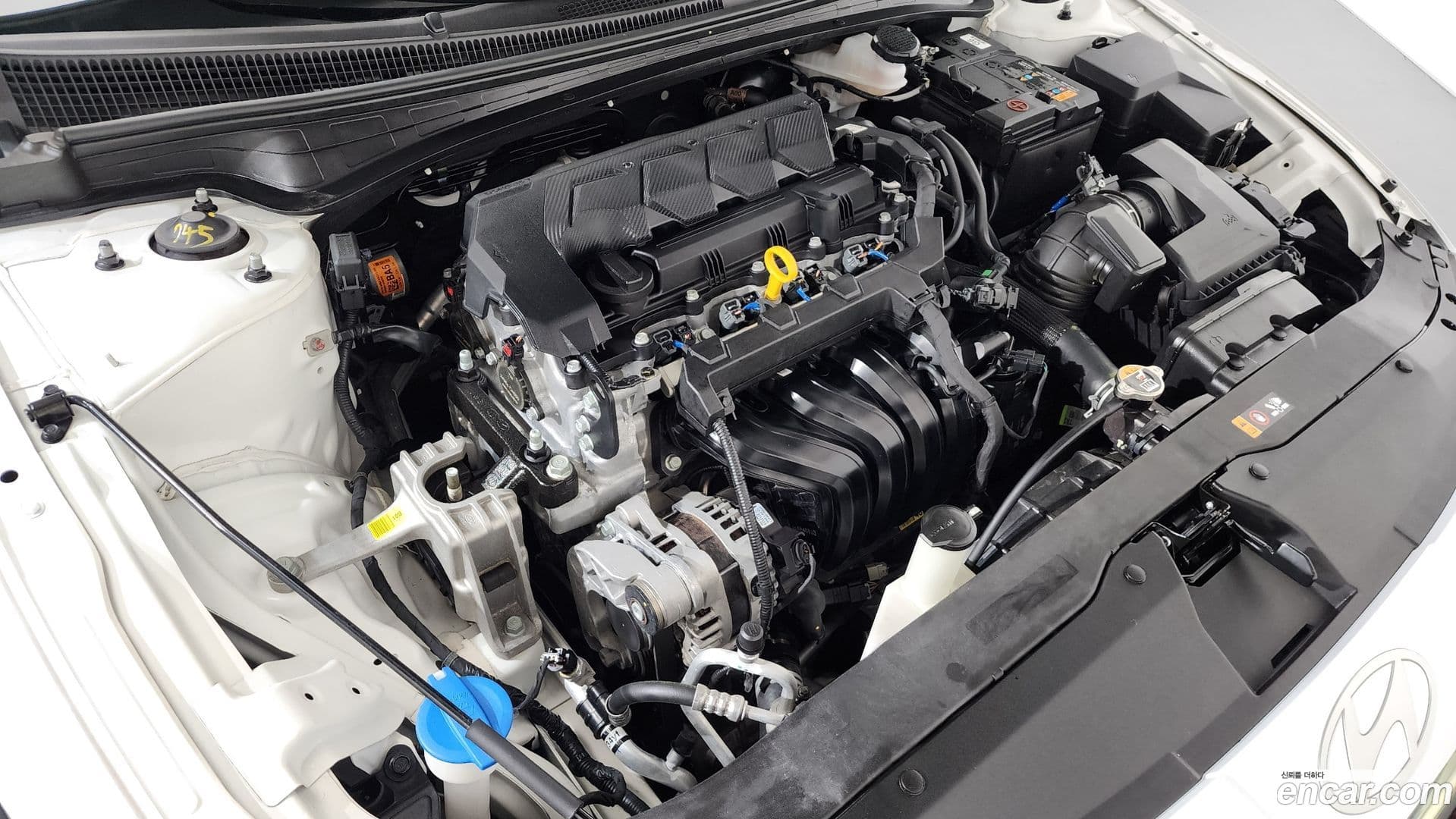 Main__Slider__Photo:AVANTE Hyundai 2024.0-5