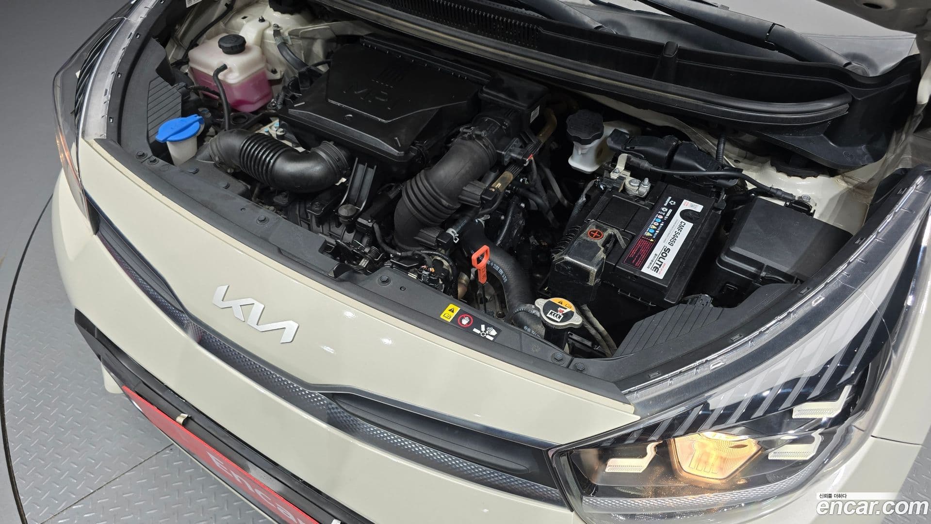 Main__Slider__Photo:morning Kia 2021.11-5