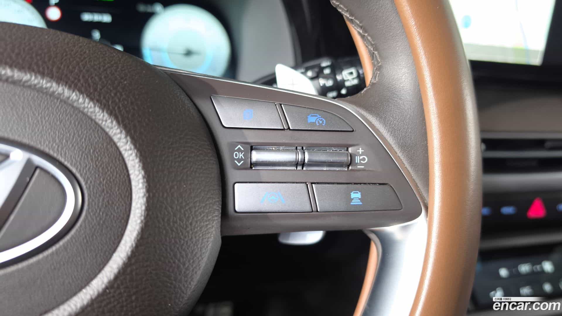 Palisade Hyundai 2023.5-OPTION-020