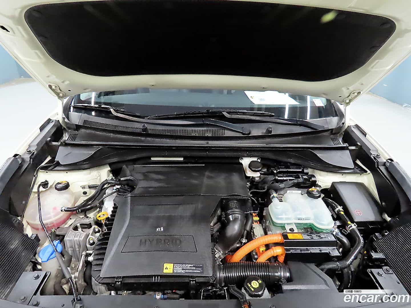 Niro Kia 2016.11-OPTION-023
