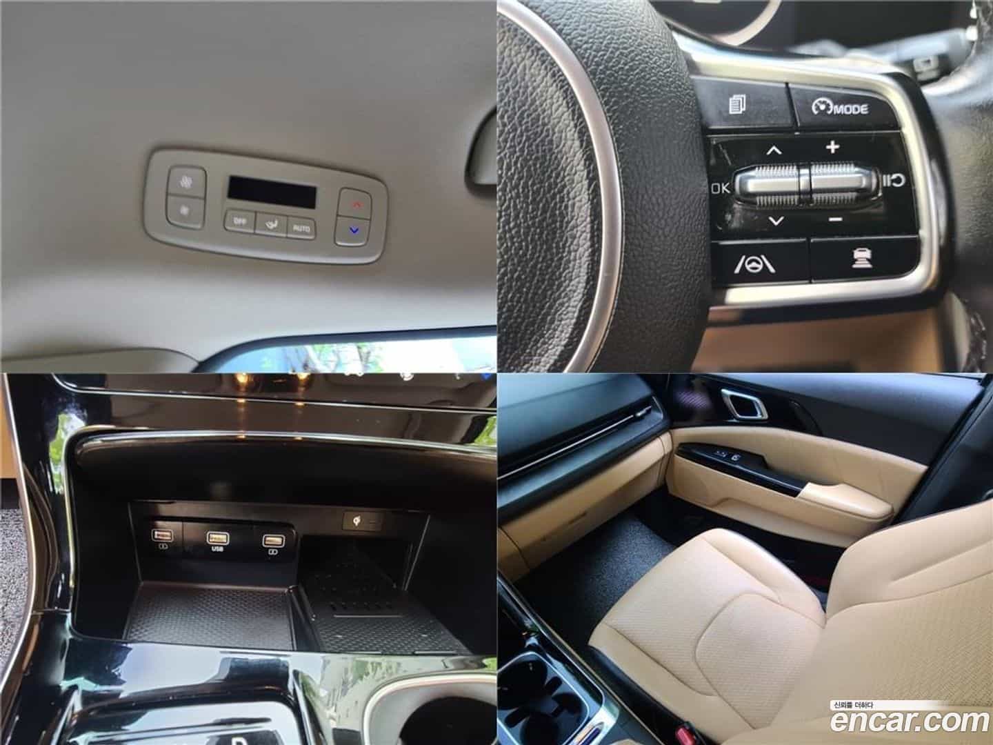 Canival Kia 2021.3-OPTION-022