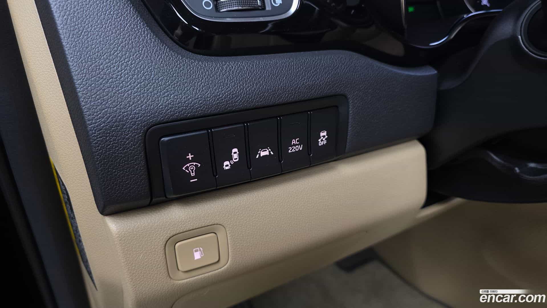 Canival Kia 2019.8-OPTION-022