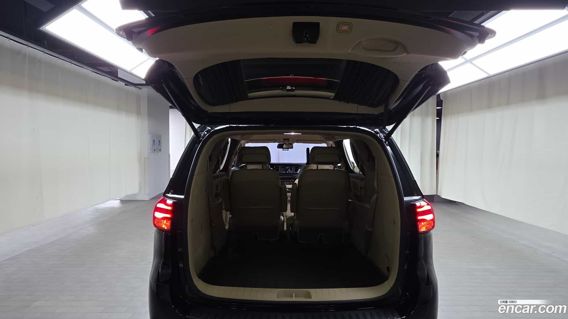 Canival Kia 2019.8-OPTION-024