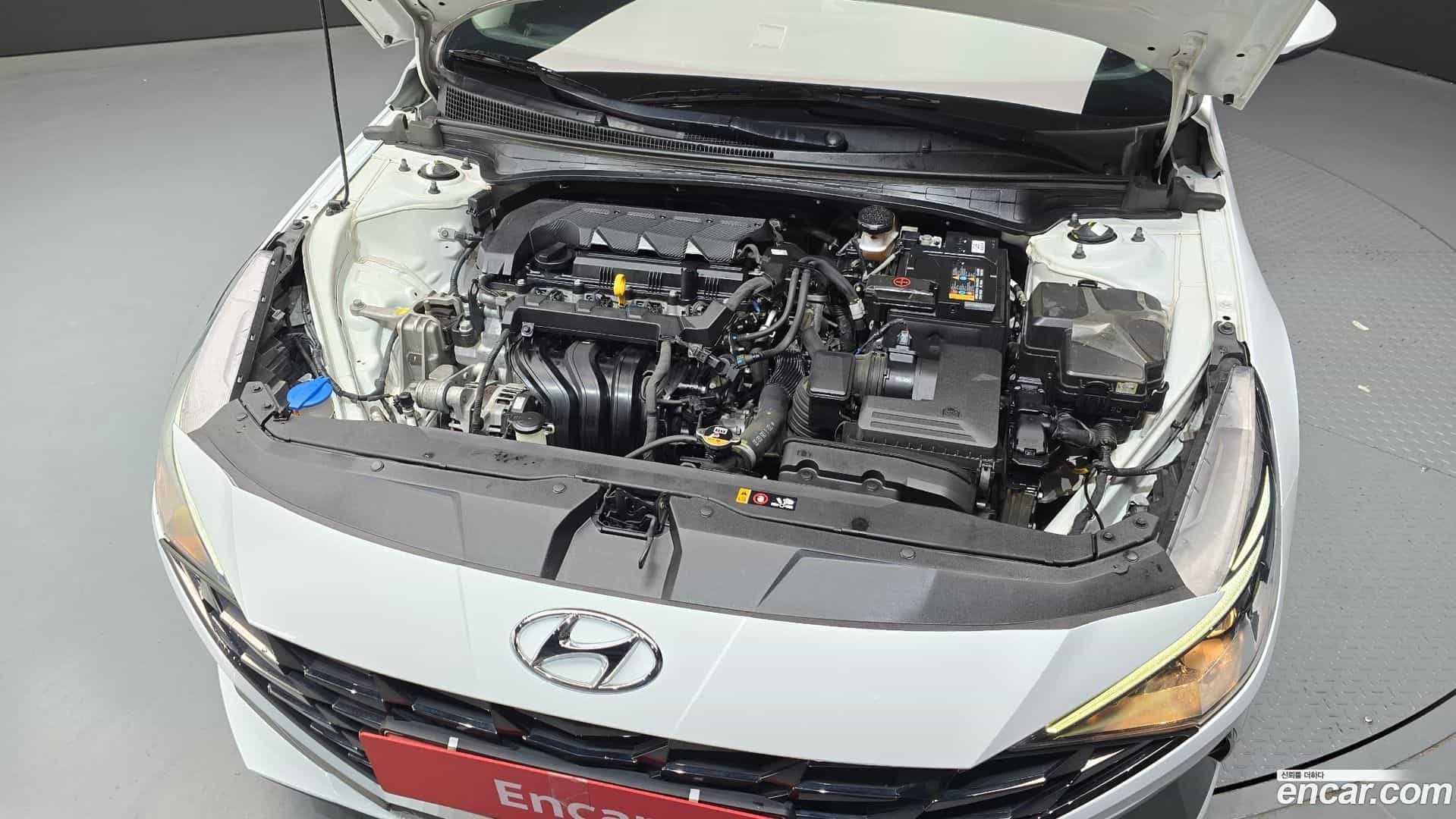 AVANTE Hyundai 2022.8-OUTER-006