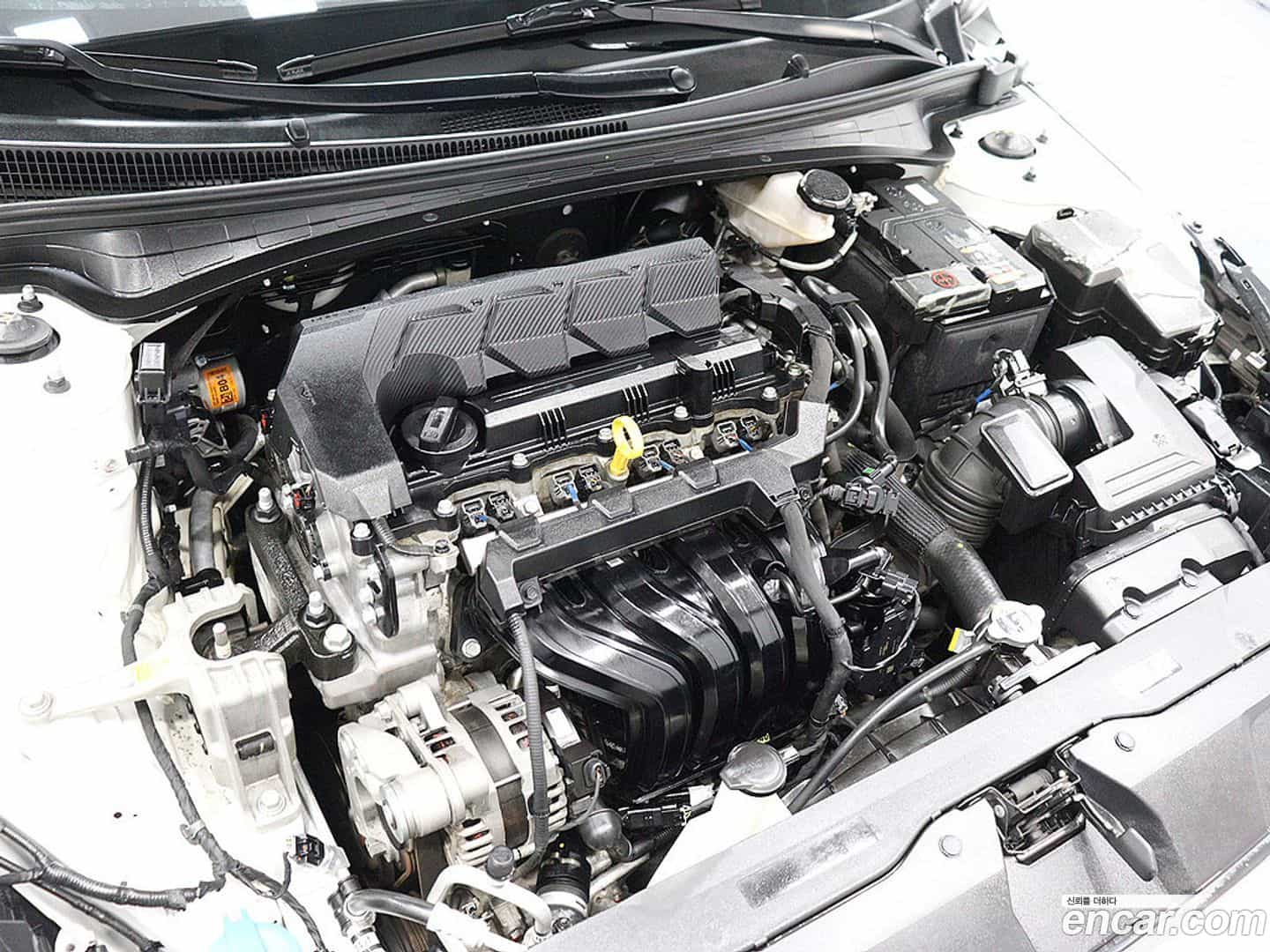 AVANTE Hyundai 2021.5-OPTION-024