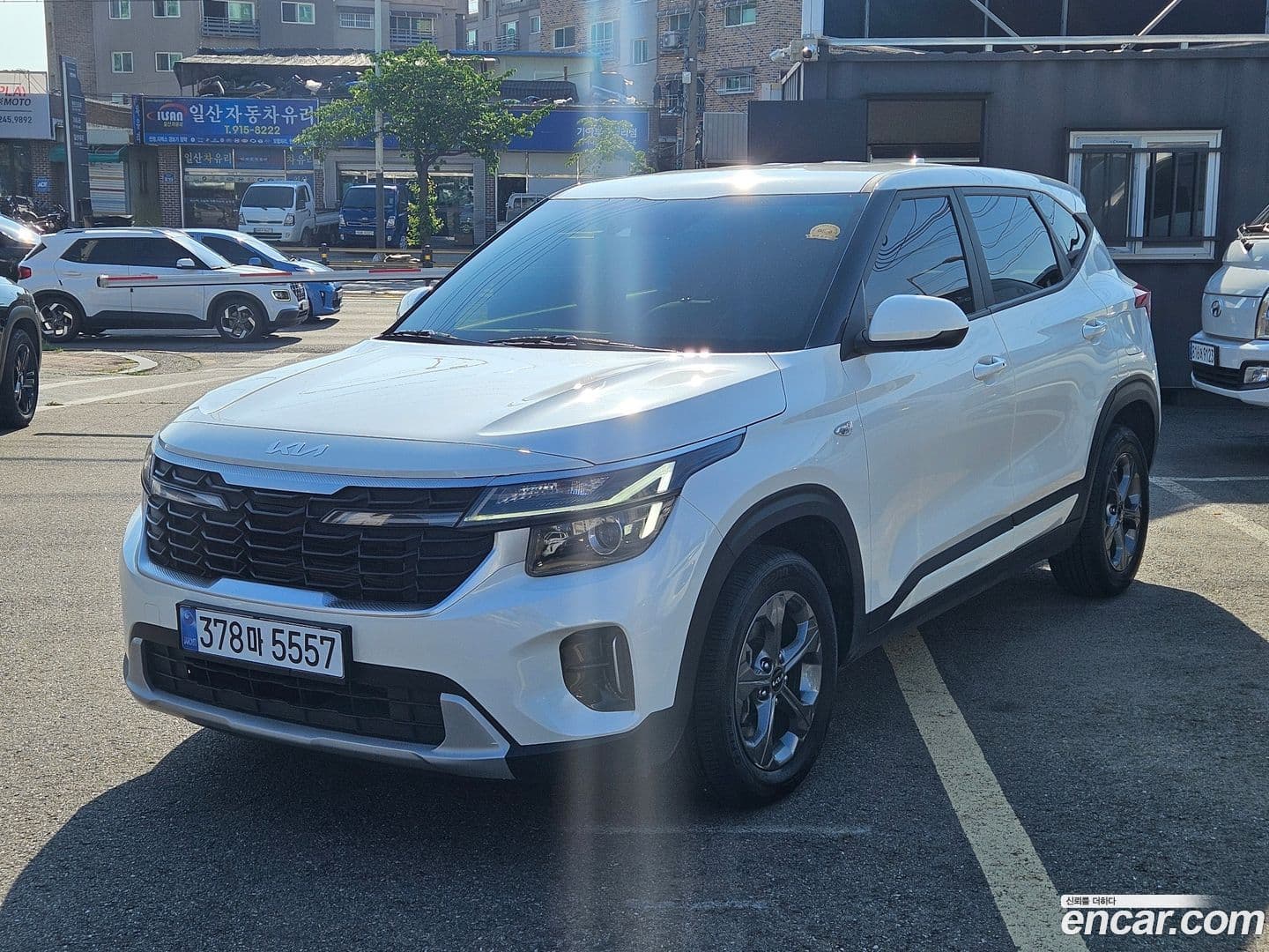 Main__Slider__Photo:Seltos Kia 2022.8-0