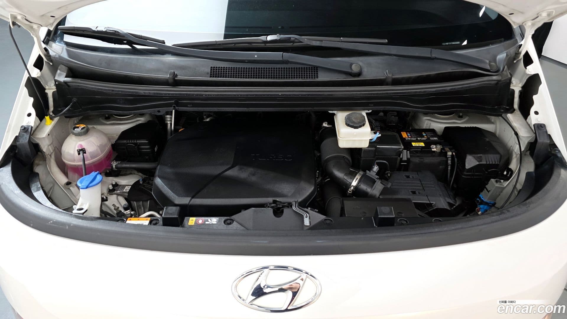 Main__Slider__Photo:Staria Hyundai 2022.2-5