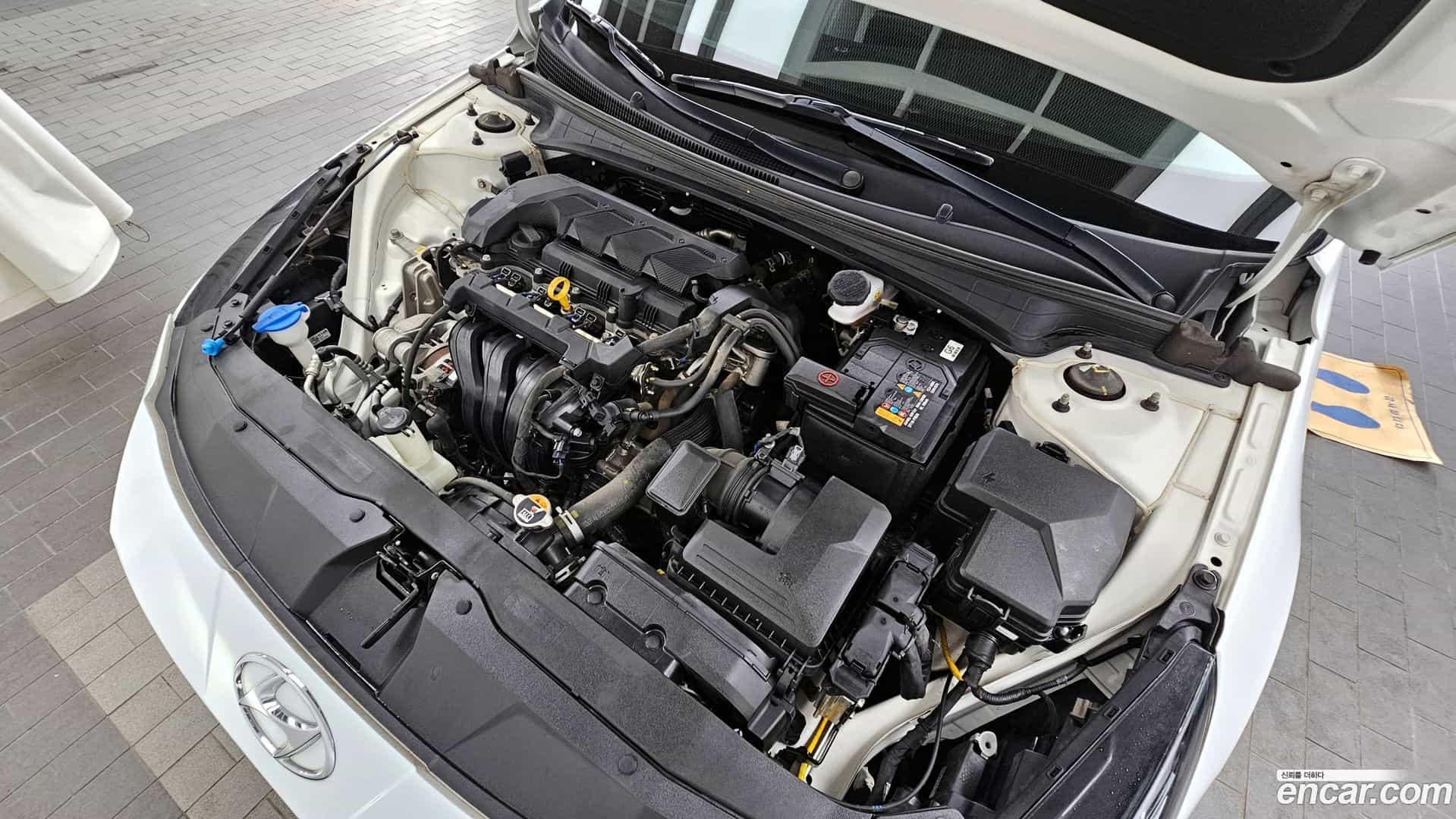 AVANTE Hyundai 2022.1-OUTER-006