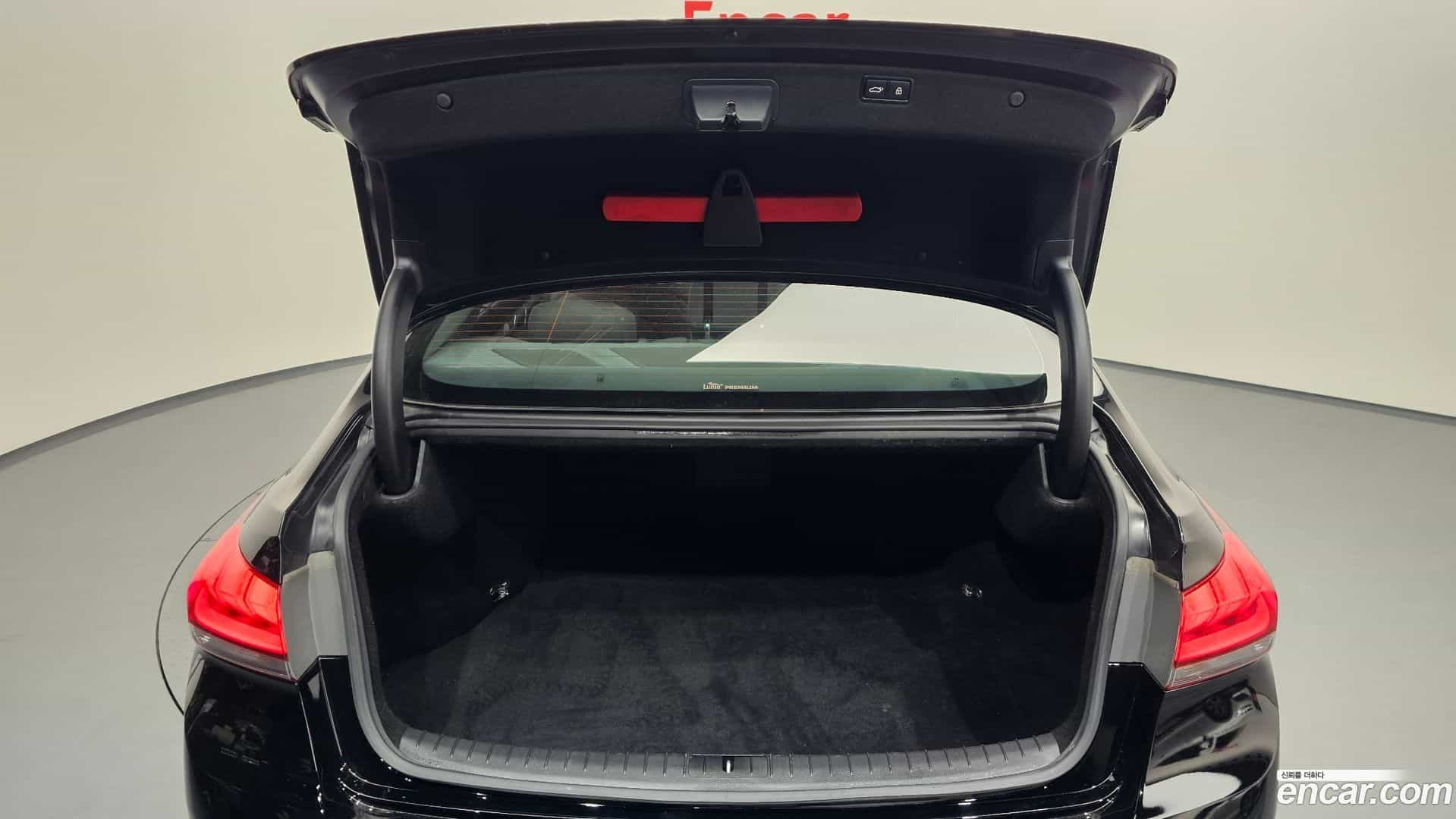 Genesis Hyundai 2015.8-OPTION-022