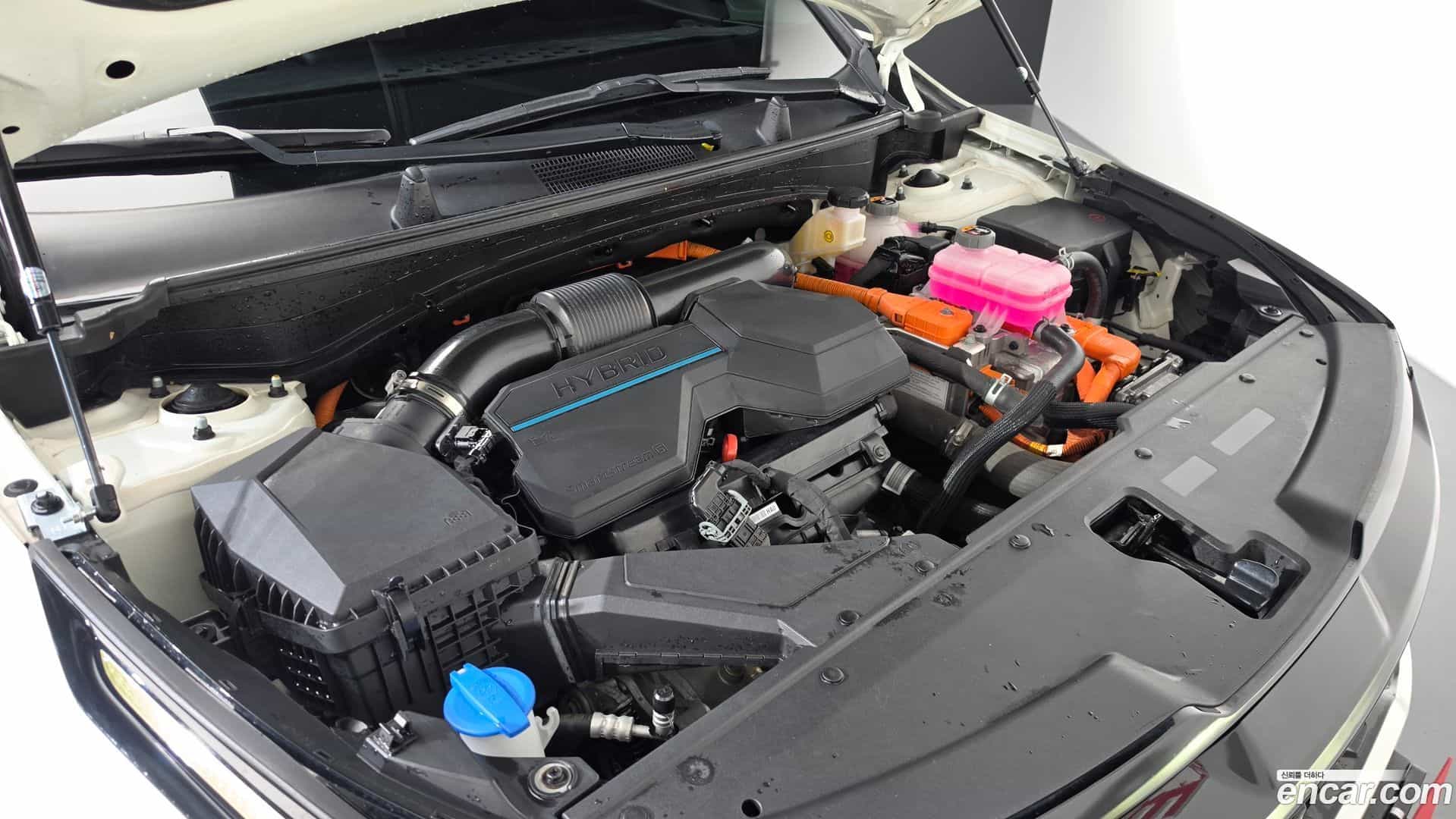 Sportage Kia 2021.9-OUTER-006