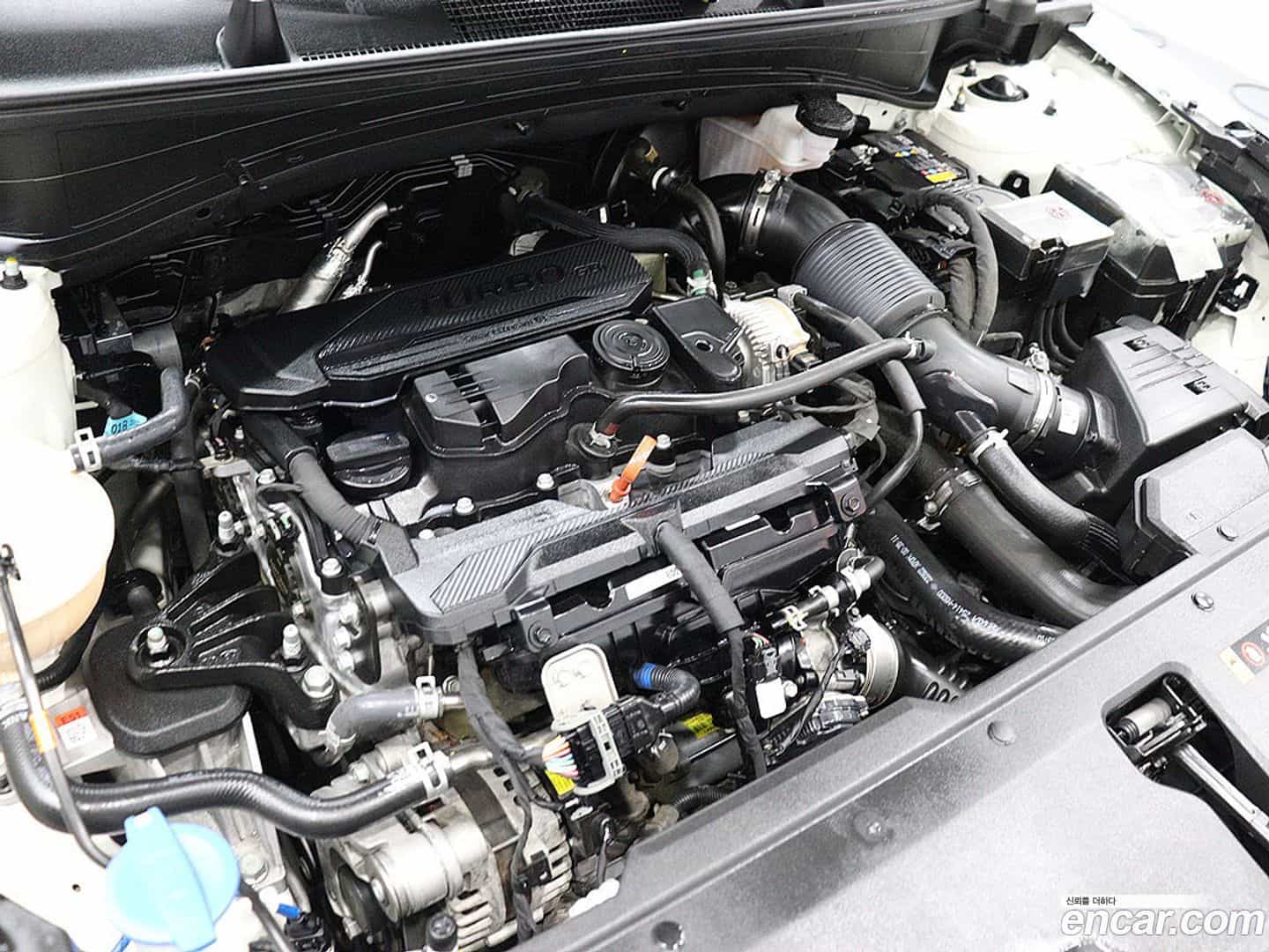 Sportage Kia 2022.9-OPTION-023