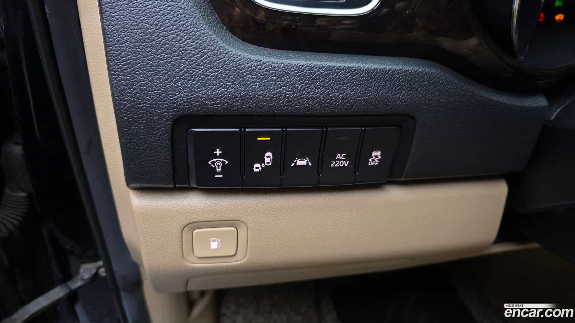Canival Kia 2019.9-OPTION-020
