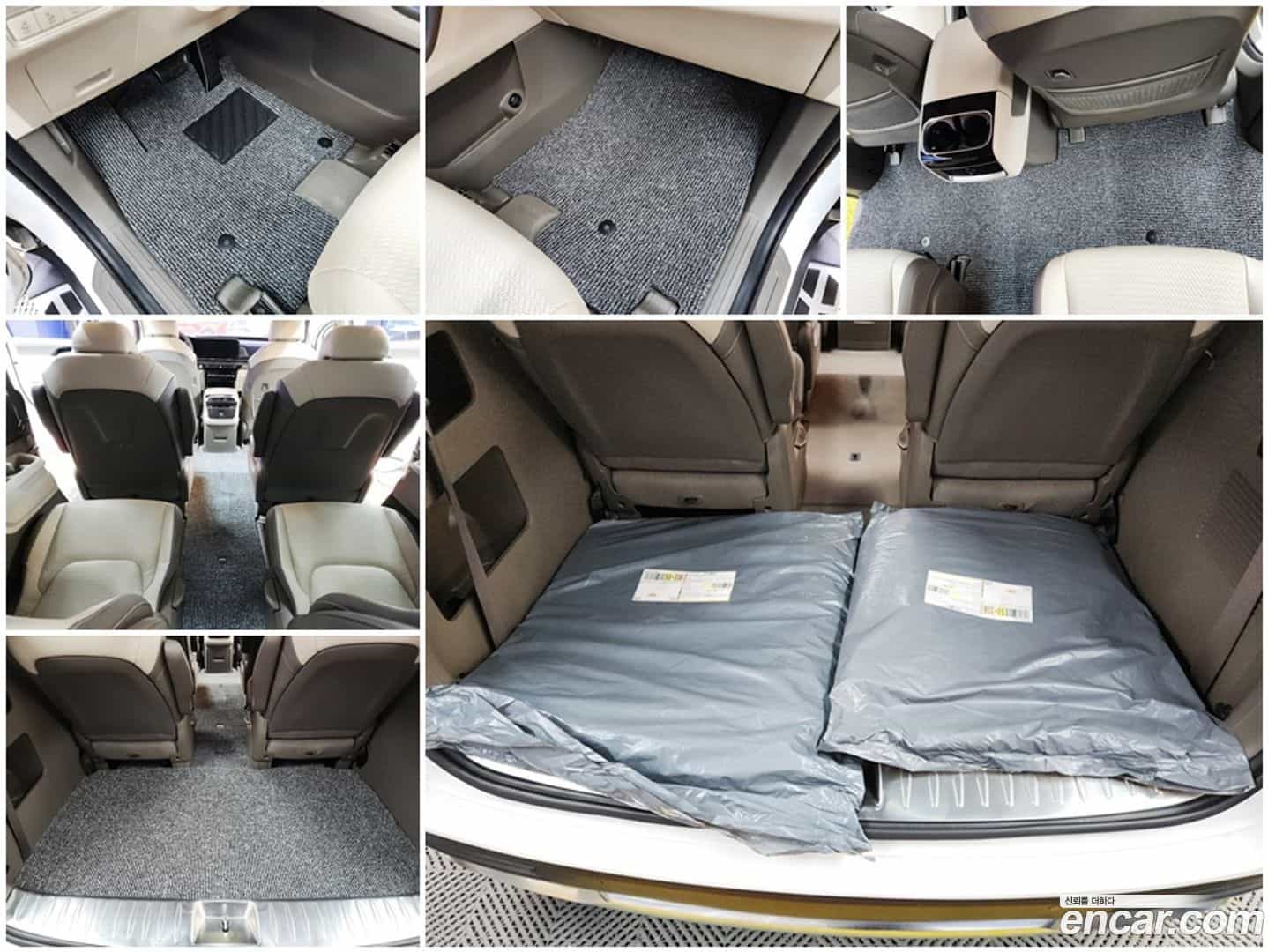 Canival Kia 2020.10-OPTION-024