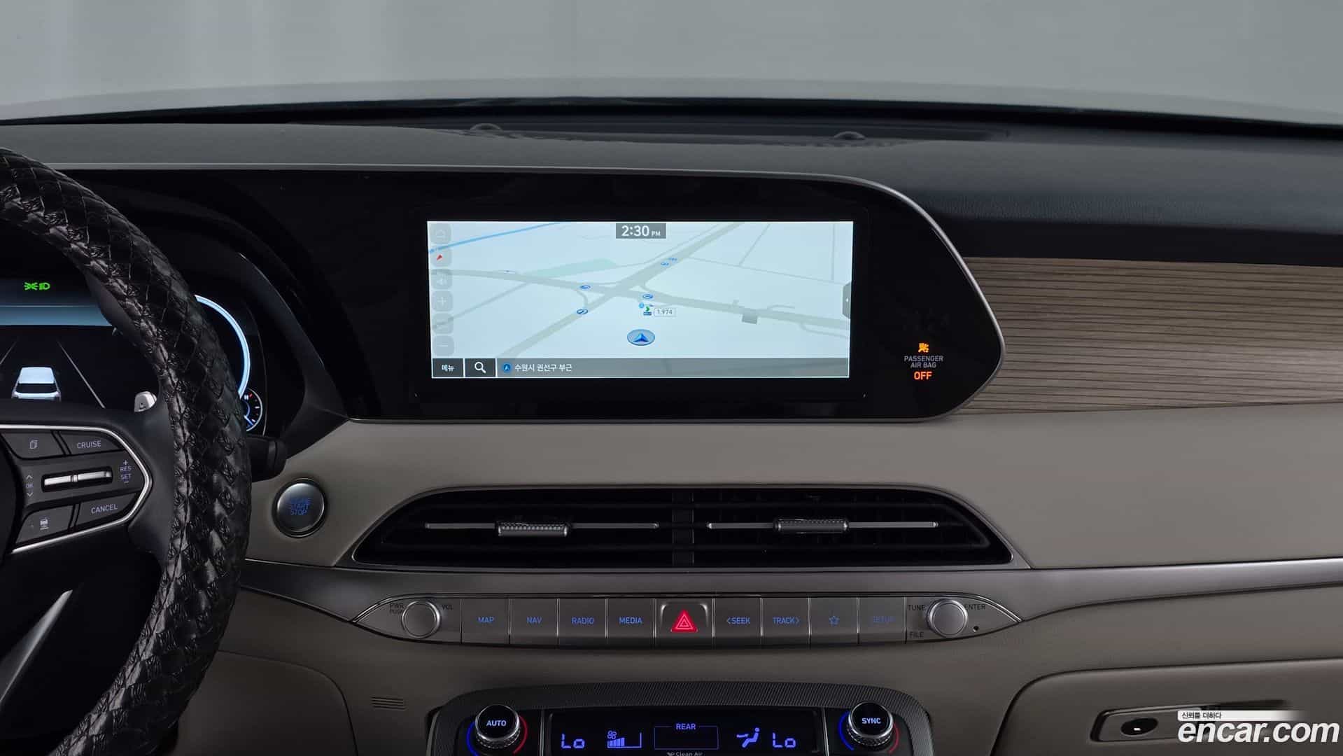 Palisade Hyundai 2021.4-OPTION-016