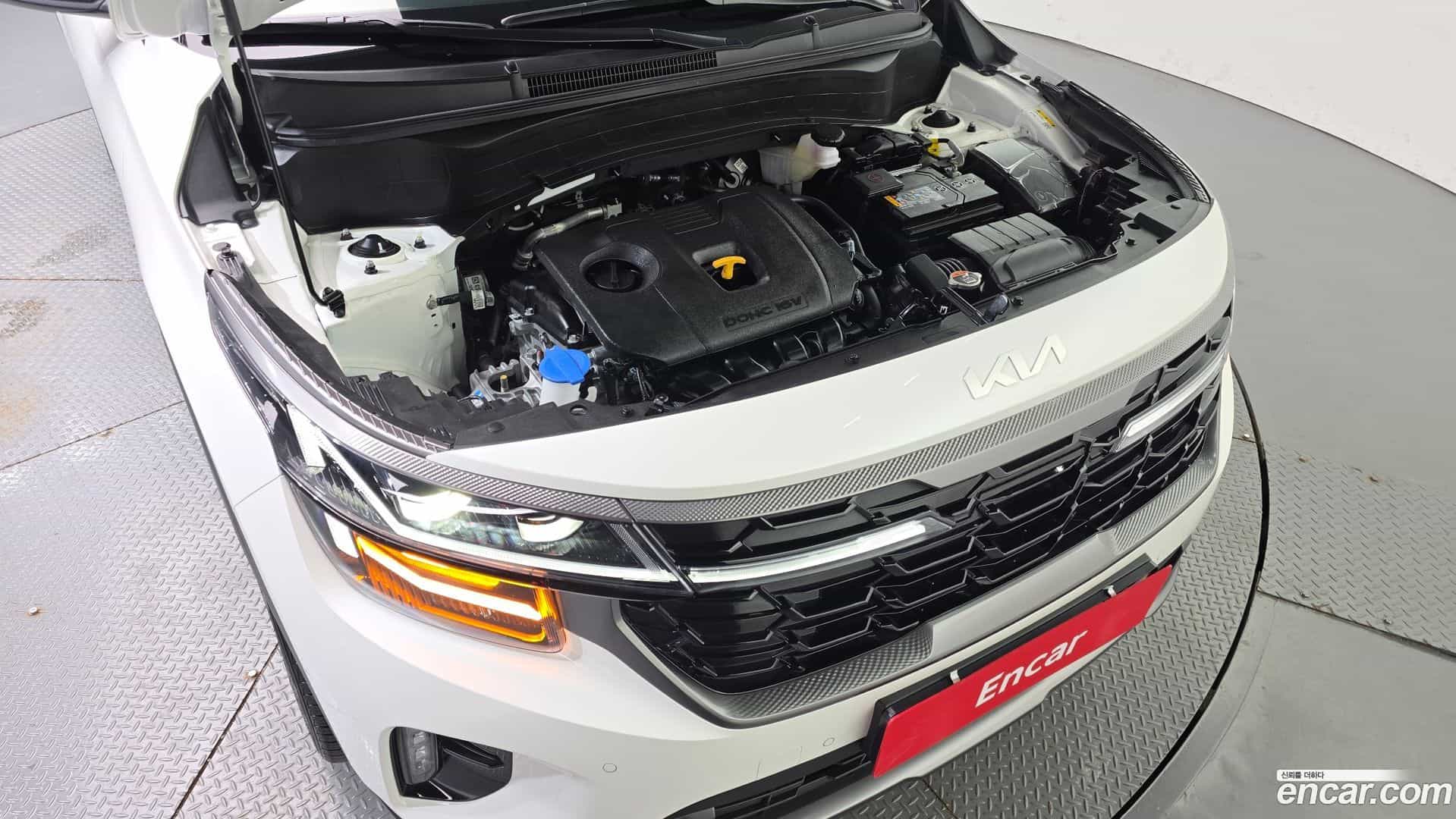 Seltos Kia 2024.6-OPTION-041