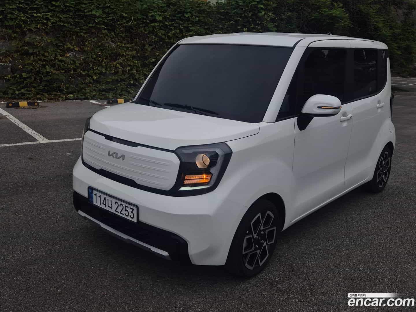 RAY Kia 2024.10-OUTER-001
