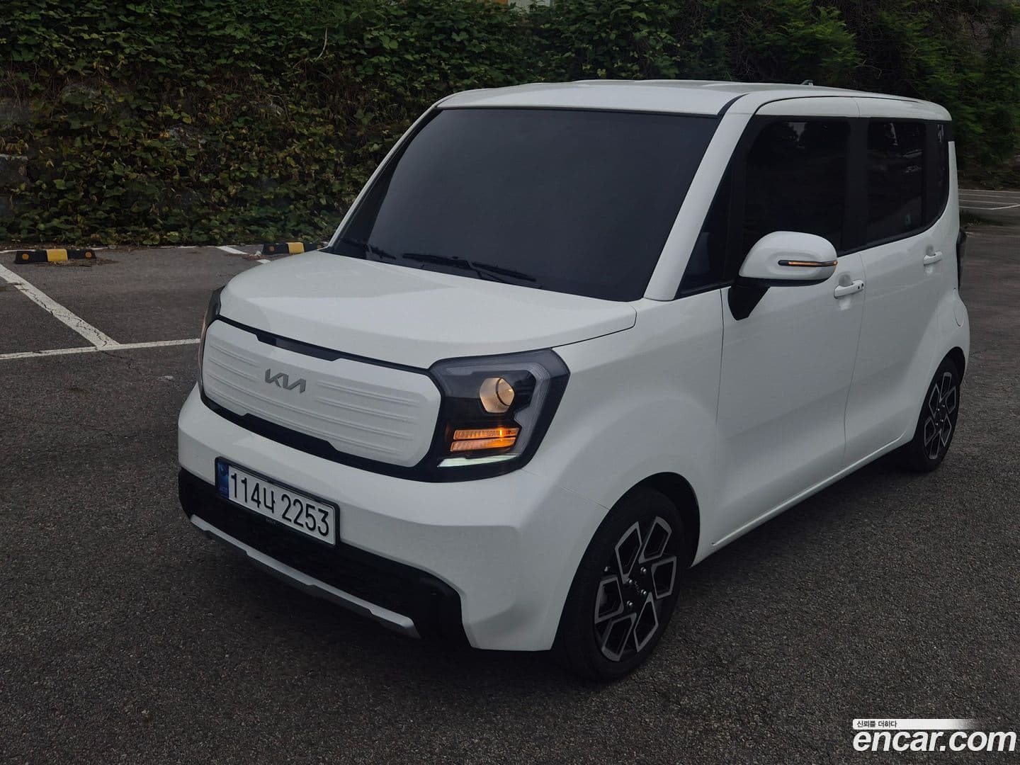 Main__Slider__Photo:RAY Kia 2024.10-0