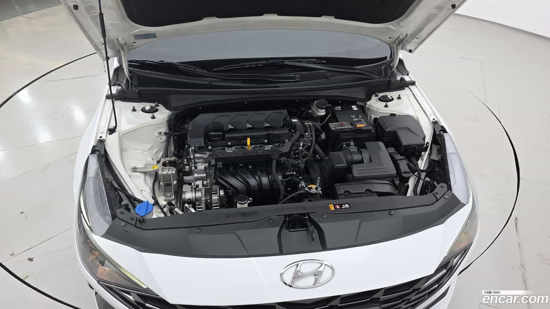 AVANTE Hyundai 2022.8-OUTER-006