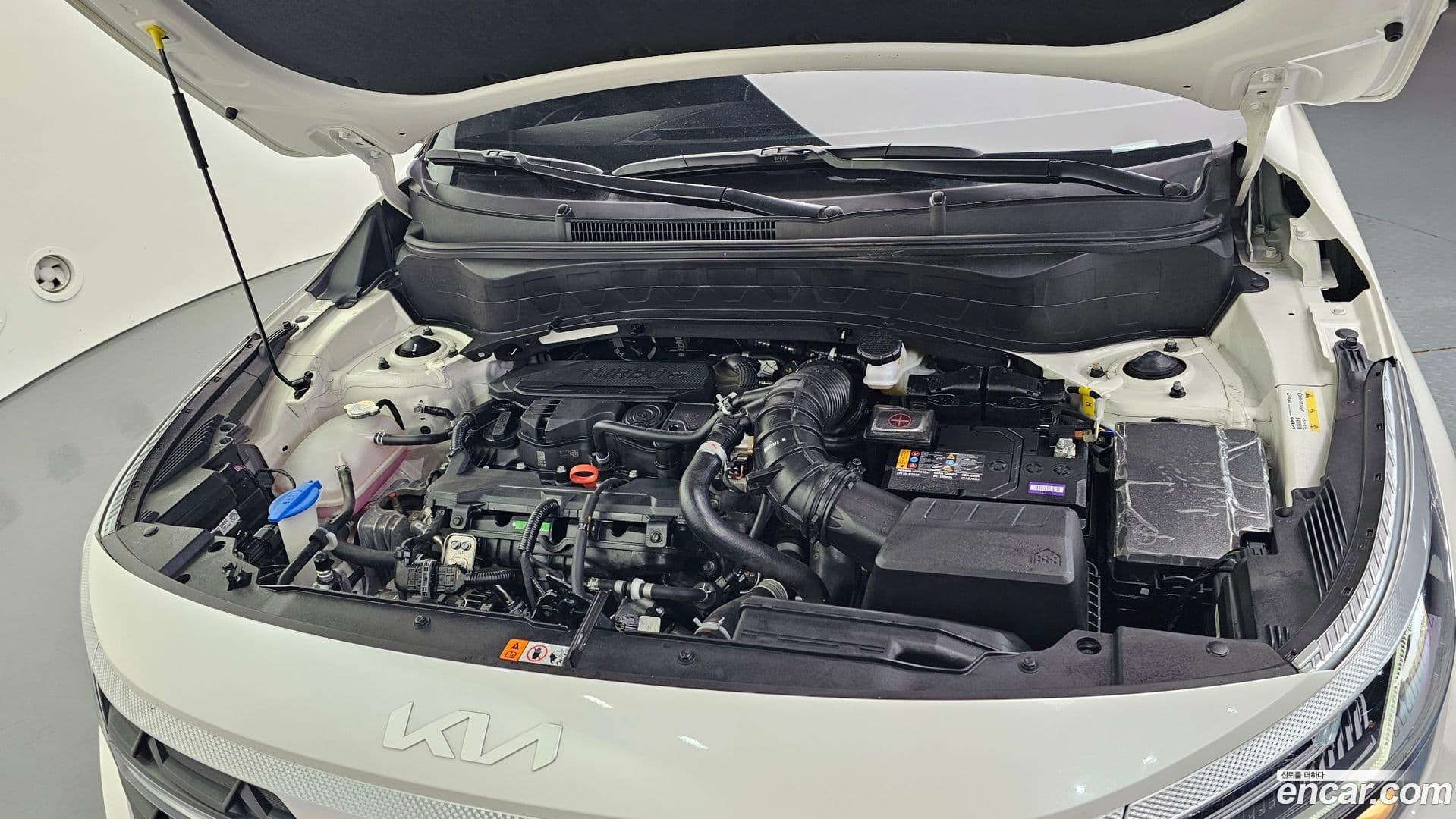 Main__Slider__Photo:Seltos Kia 2024.8-5