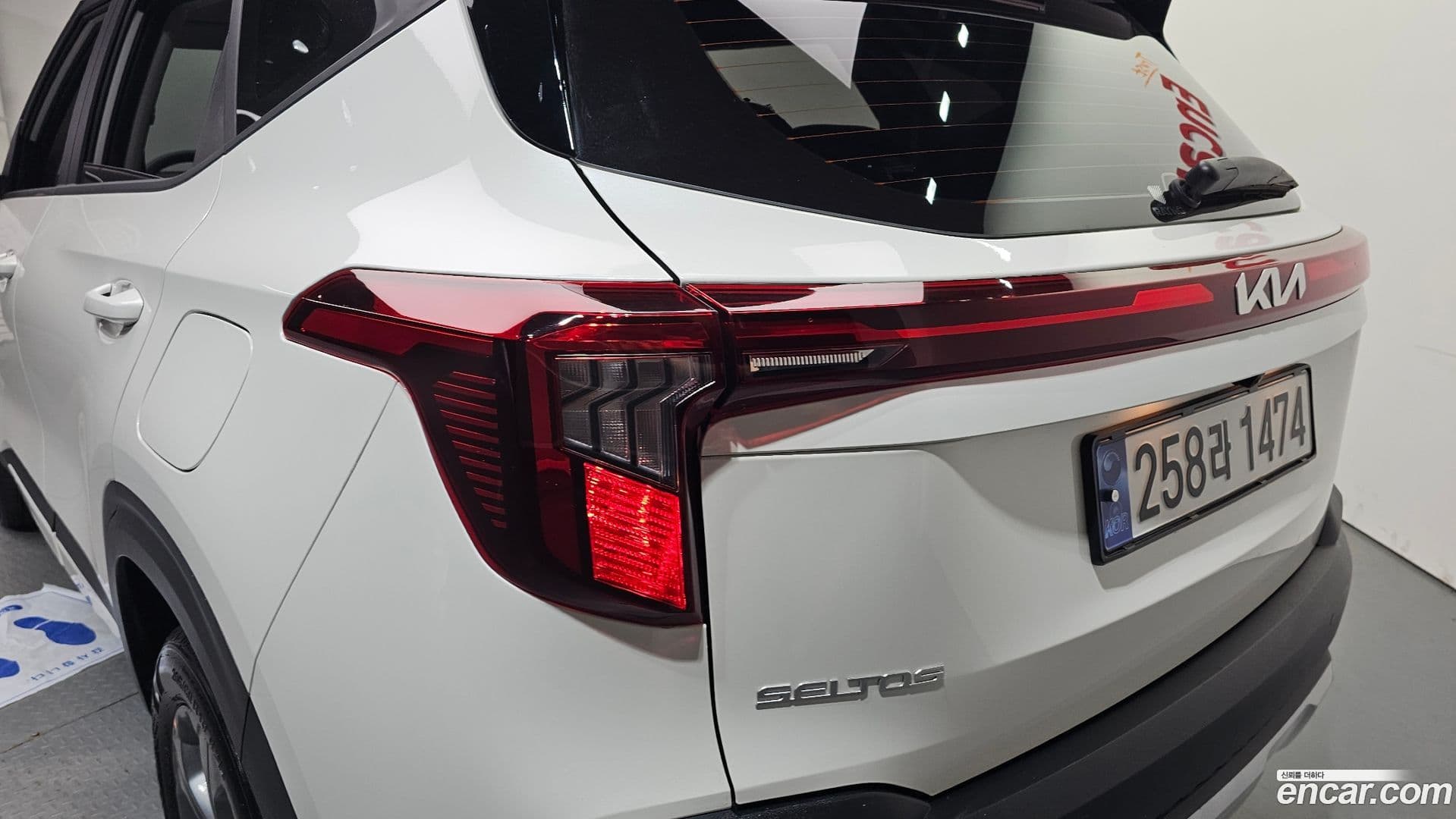 Main__Slider__Photo:Seltos Kia 2024.8-22