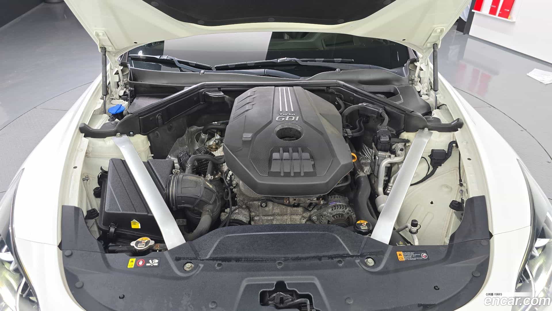 Stinger Kia 2019.7-OUTER-006