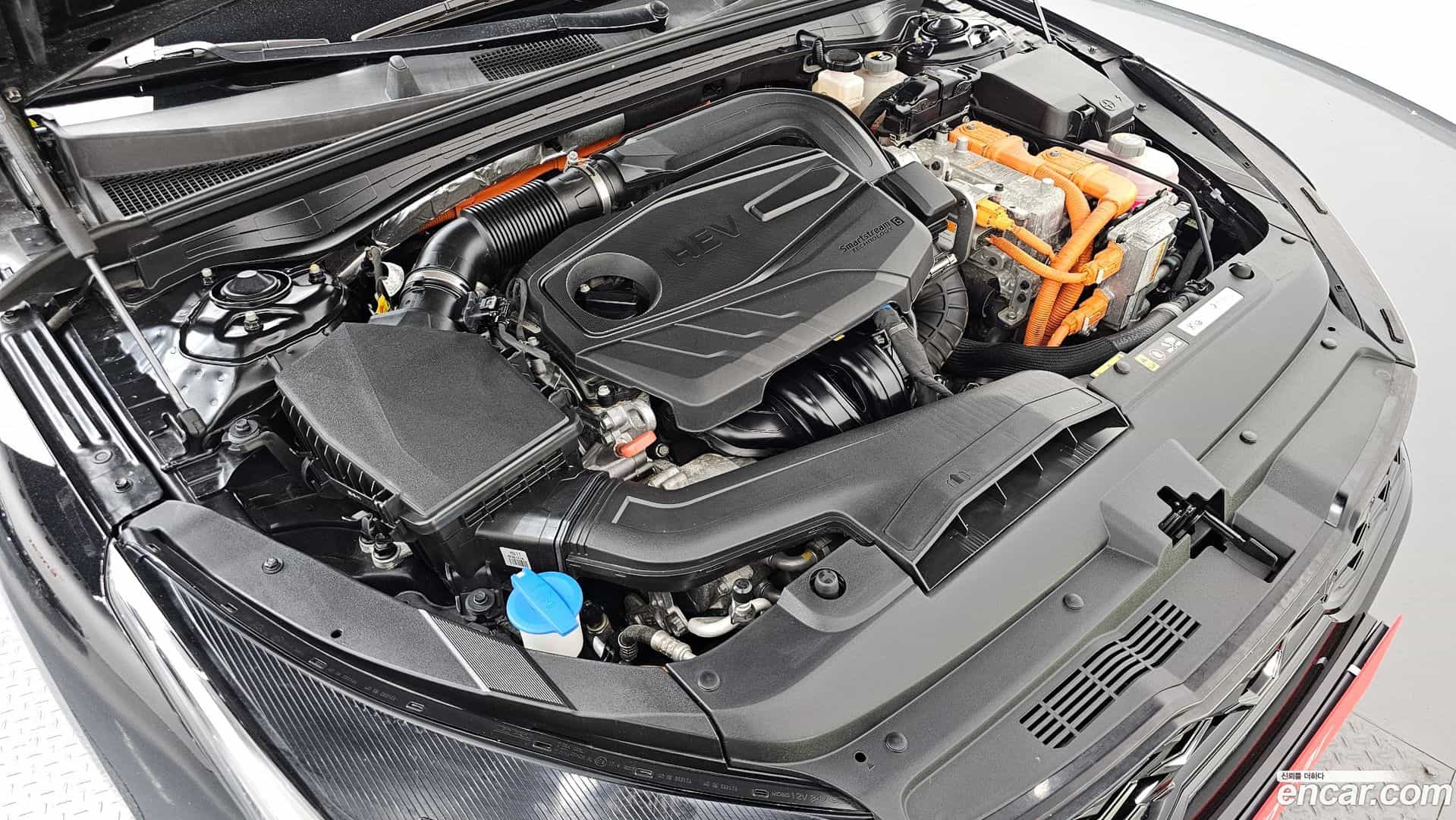 K5 Kia 2022.4-OUTER-006