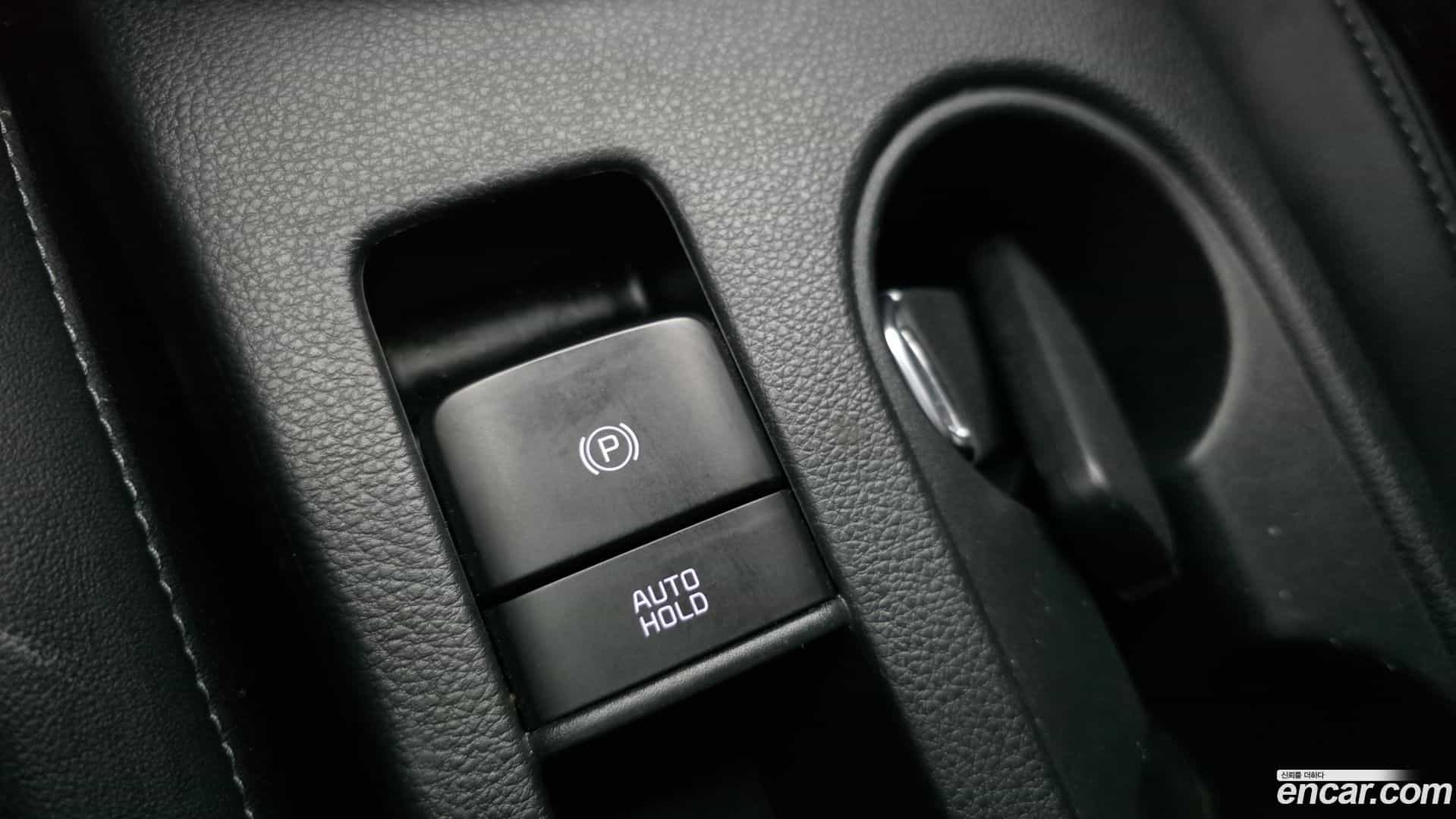 Seltos Kia 2023.11-OPTION-021