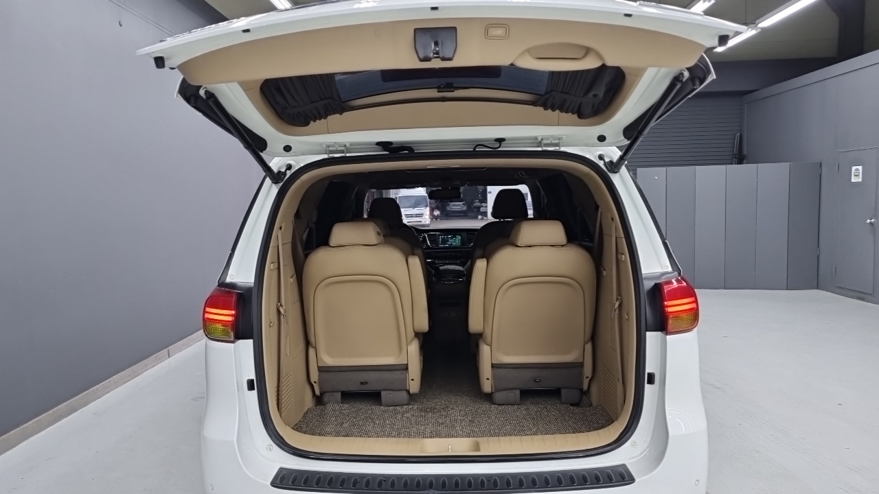 Canival Kia 2017.8-OPTION-020