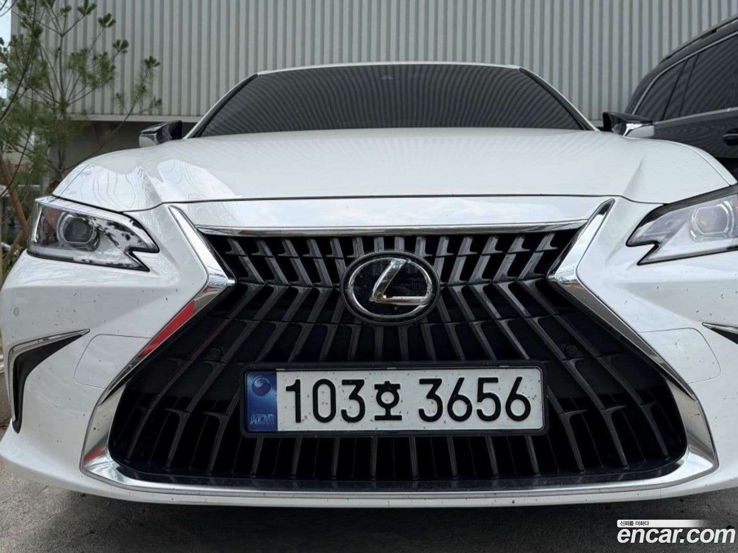 Main__Slider__Photo:ES Lexus 2023.6-0