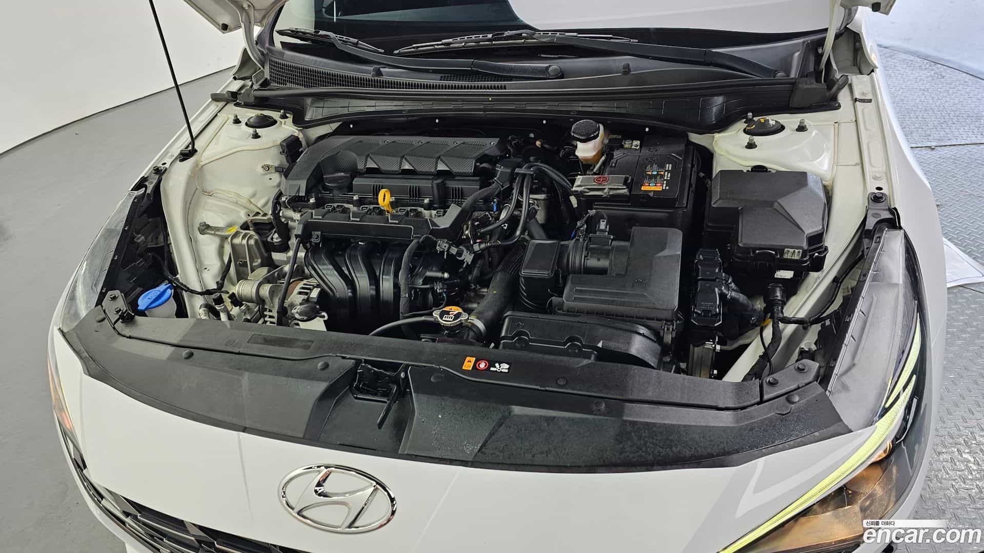 AVANTE Hyundai 2021.5-OUTER-006