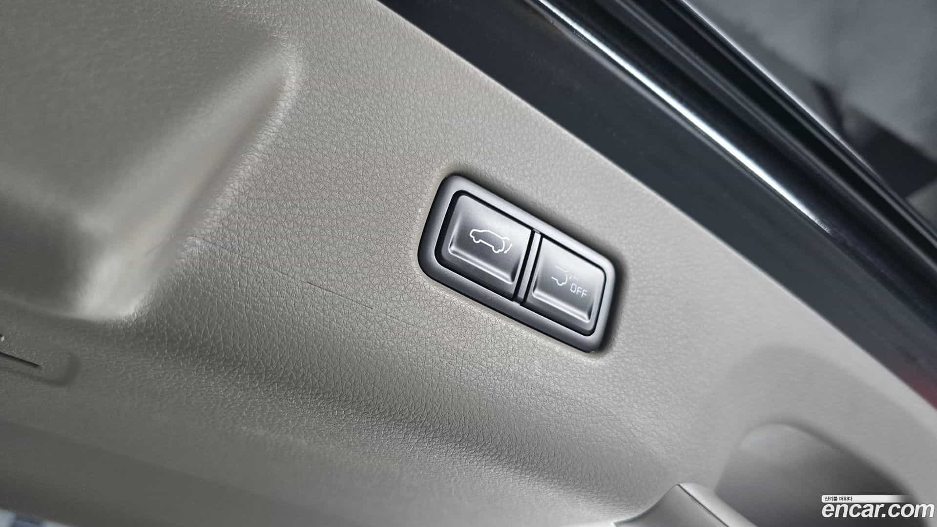 Canival Kia 2024.5-OPTION-022