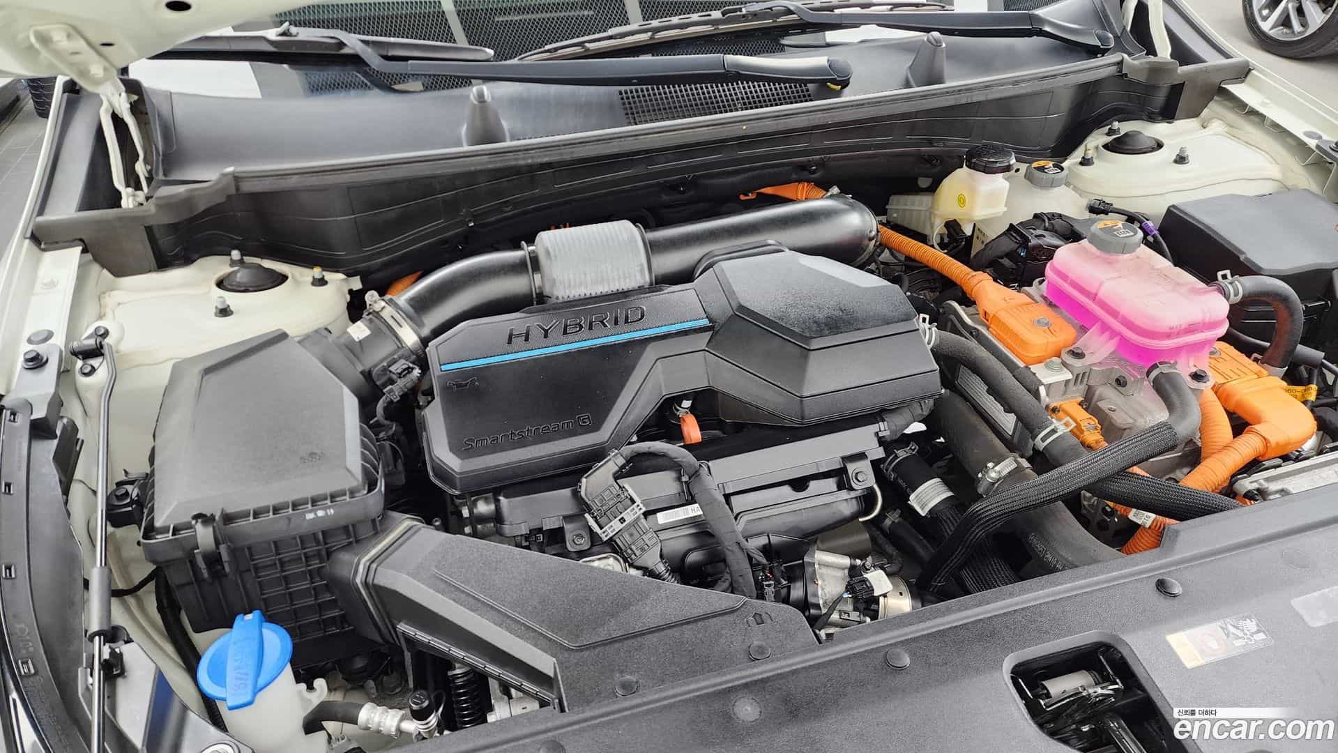 Sportage Kia 2022.8-OUTER-006