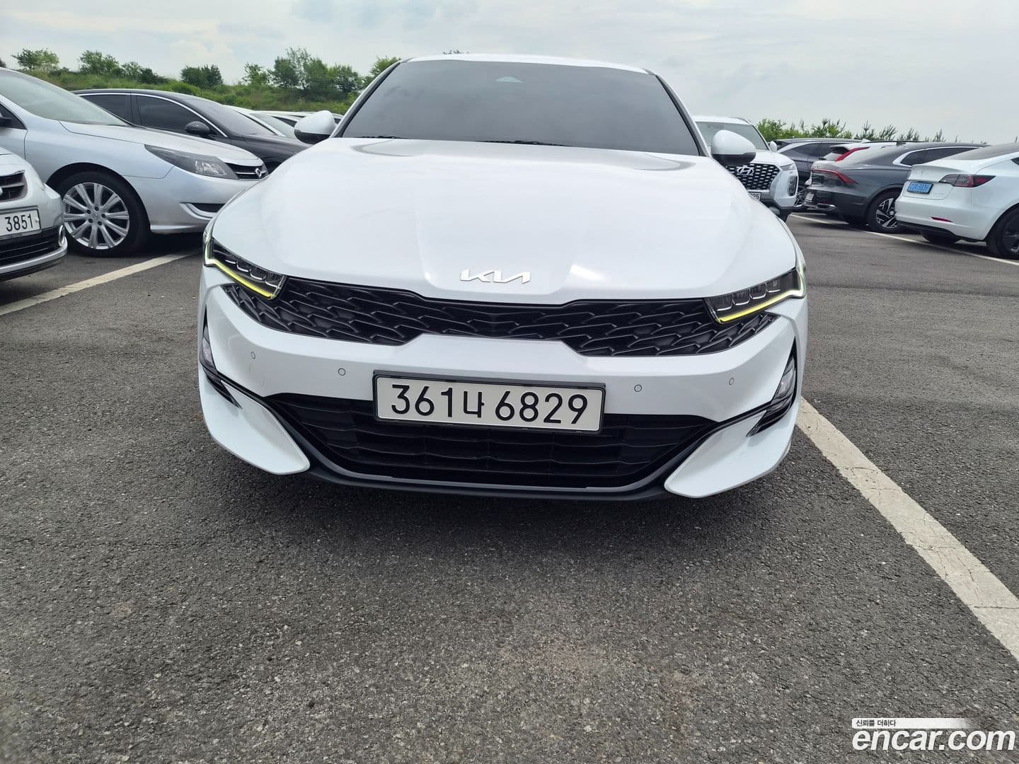 Main__Slider__Photo:K5 Kia 2022.4-0