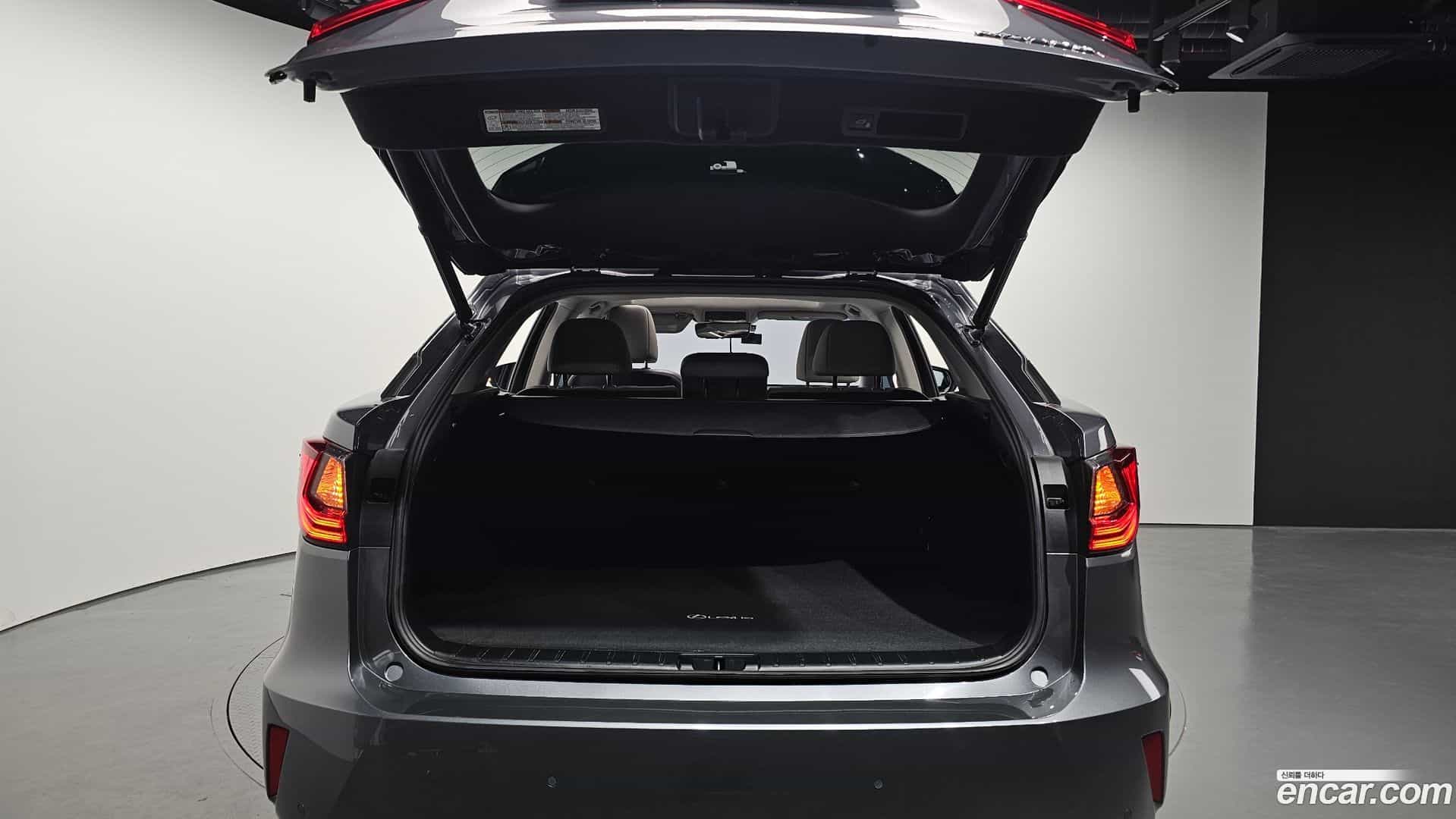 RX Lexus 2019.8-OPTION-024