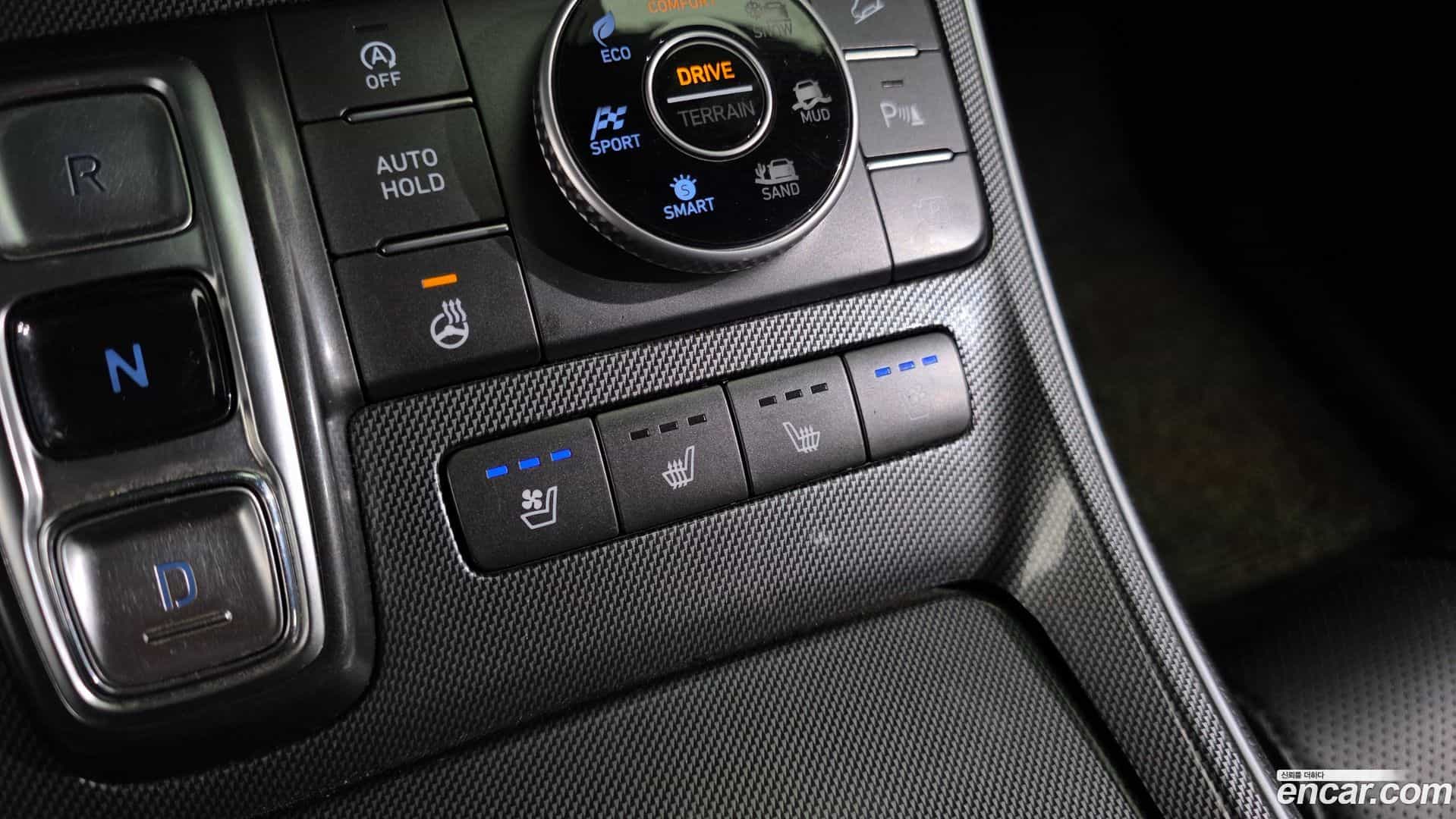 Santafe Hyundai 2021.6-OPTION-022