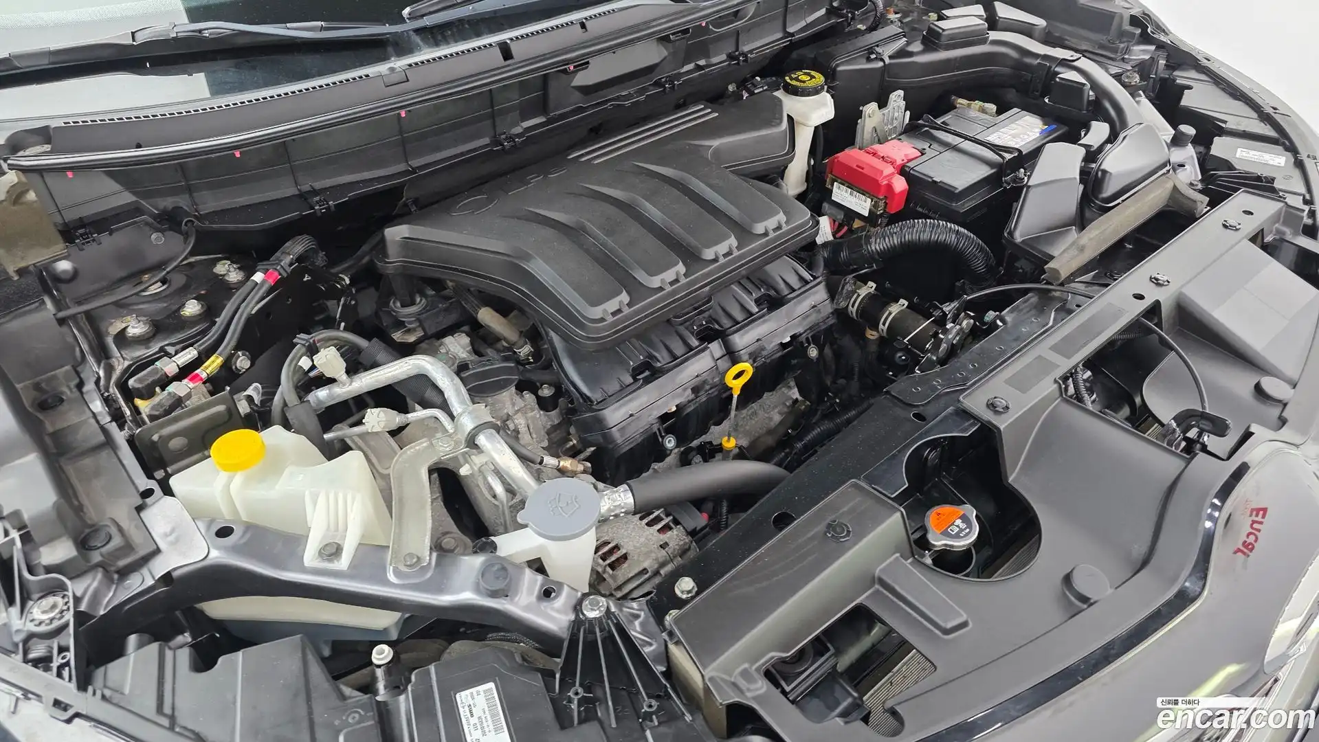 QM6 Renault Korea 2021.8-OUTER-006