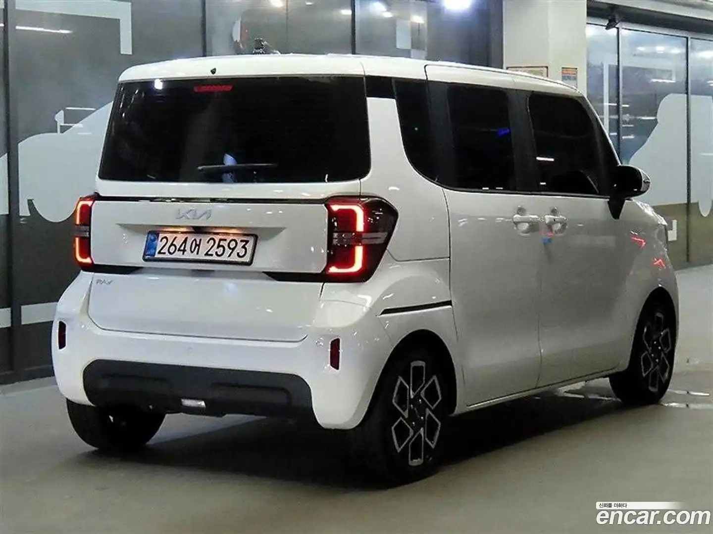 RAY Kia 2025.9-OUTER-004