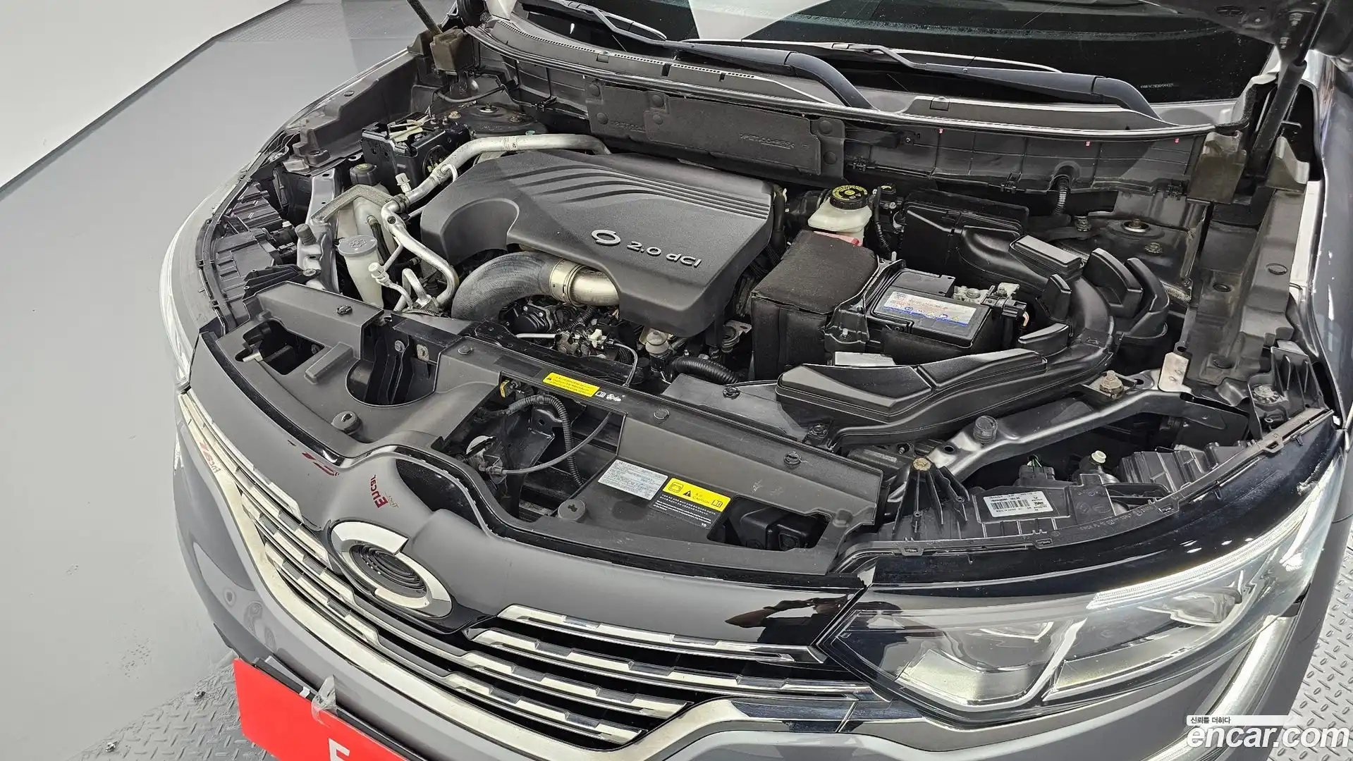 QM6 Renault Korea 2019.3-OUTER-006