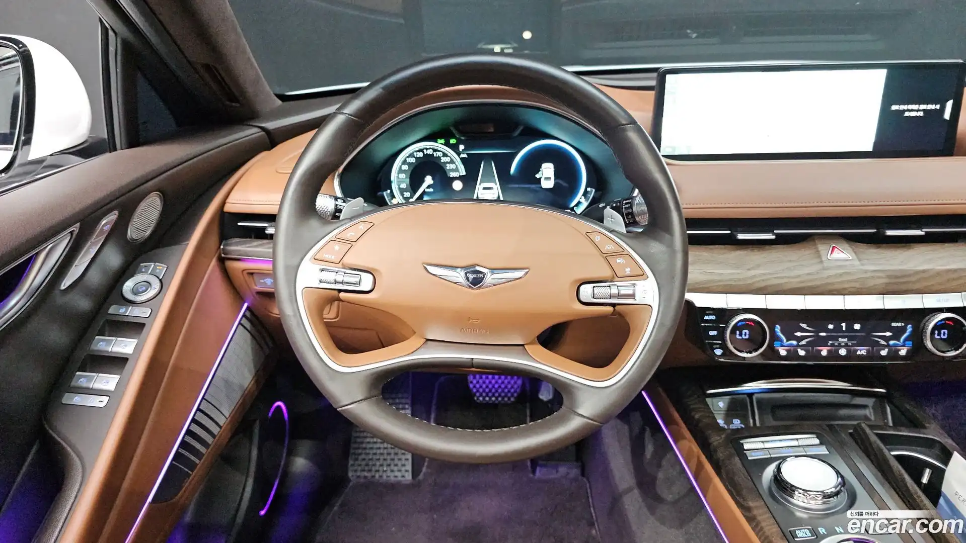 G80 Genesis 2023.0-OPTION-016