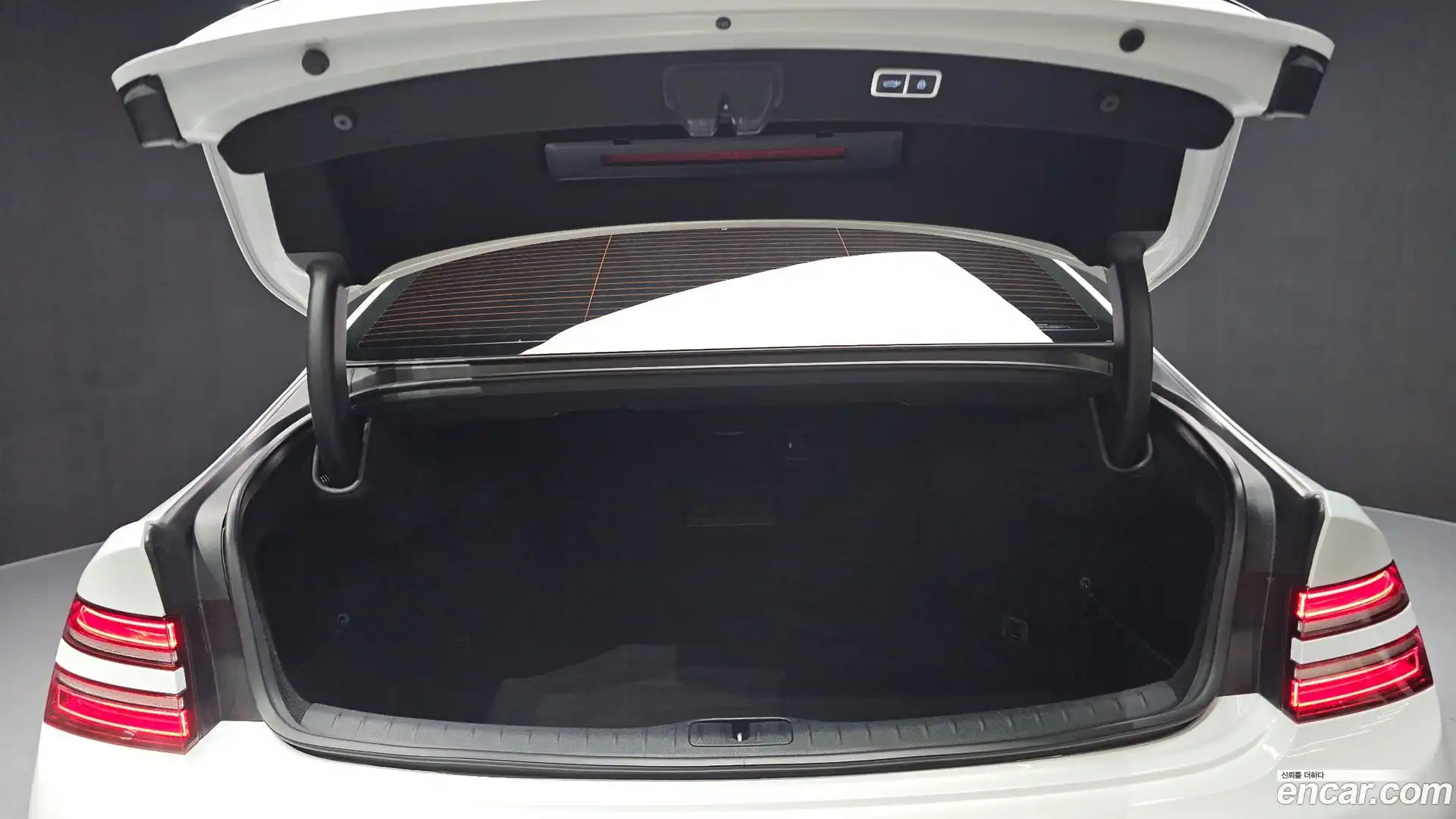 G80 Genesis 2023.0-OPTION-024